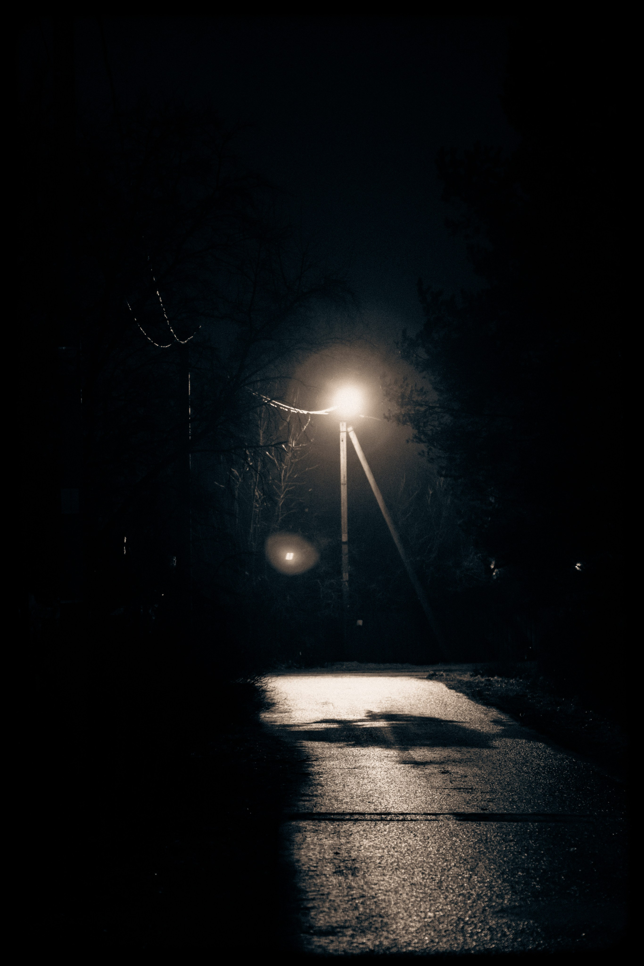 Из наблюдений. Плак или Квак