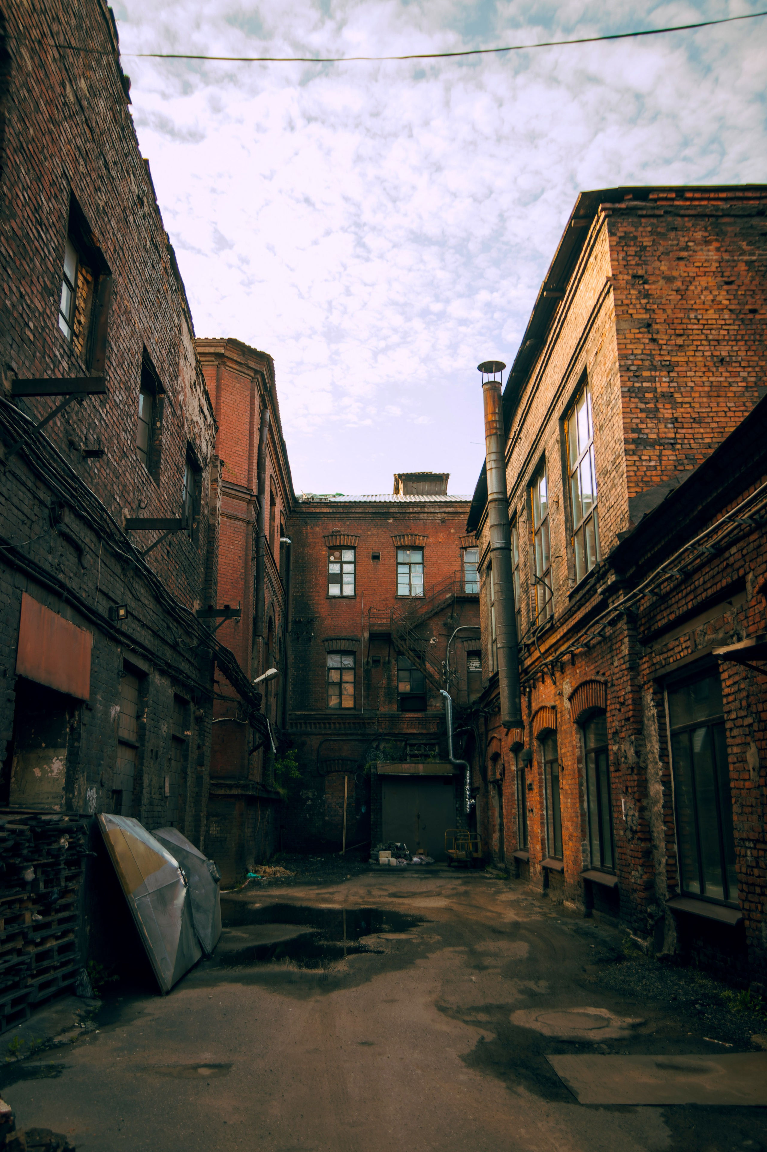 Из наблюдений. Плак или Квак