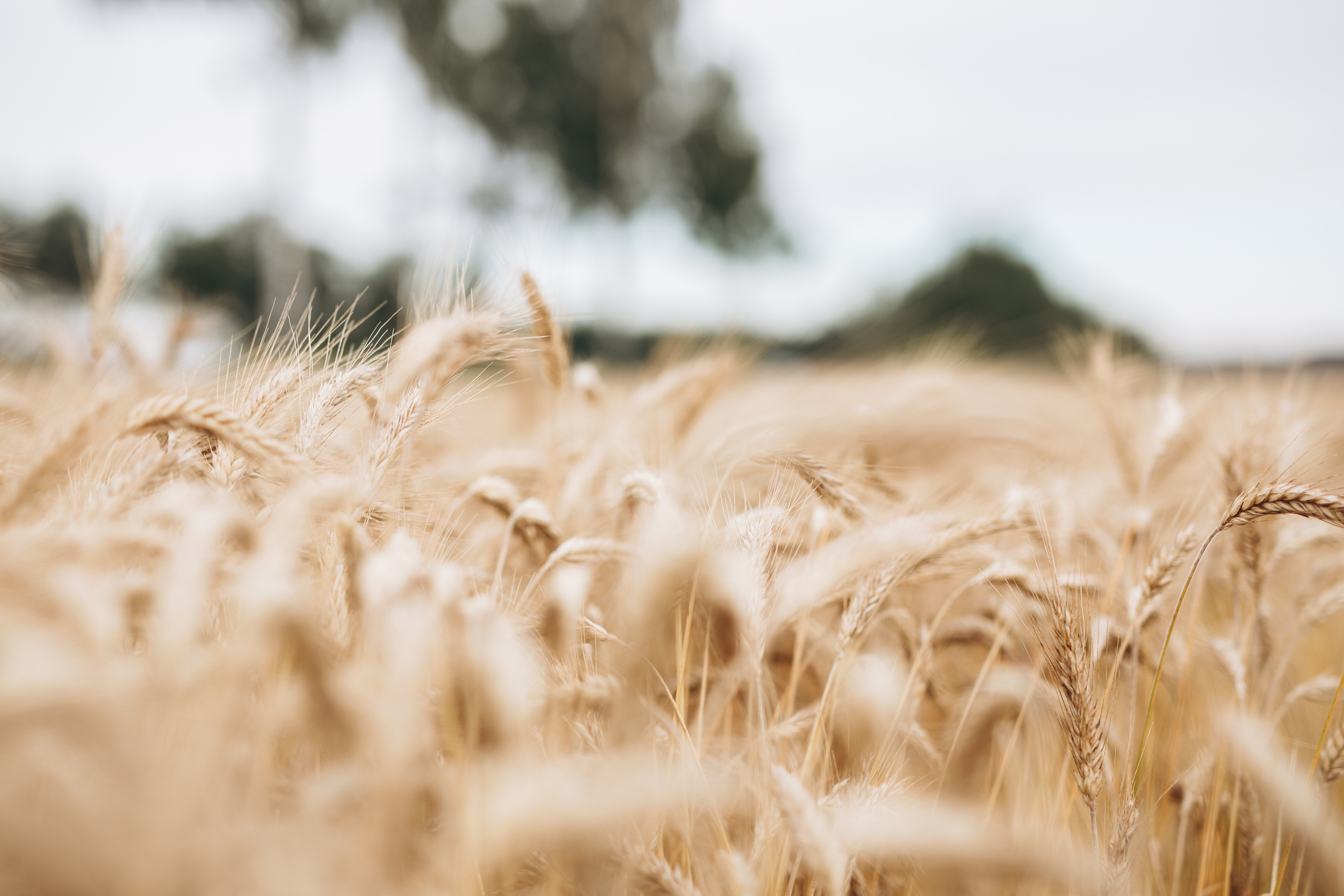 Family time. Портретный женский фотограф Минск Беларусь Алена Янович