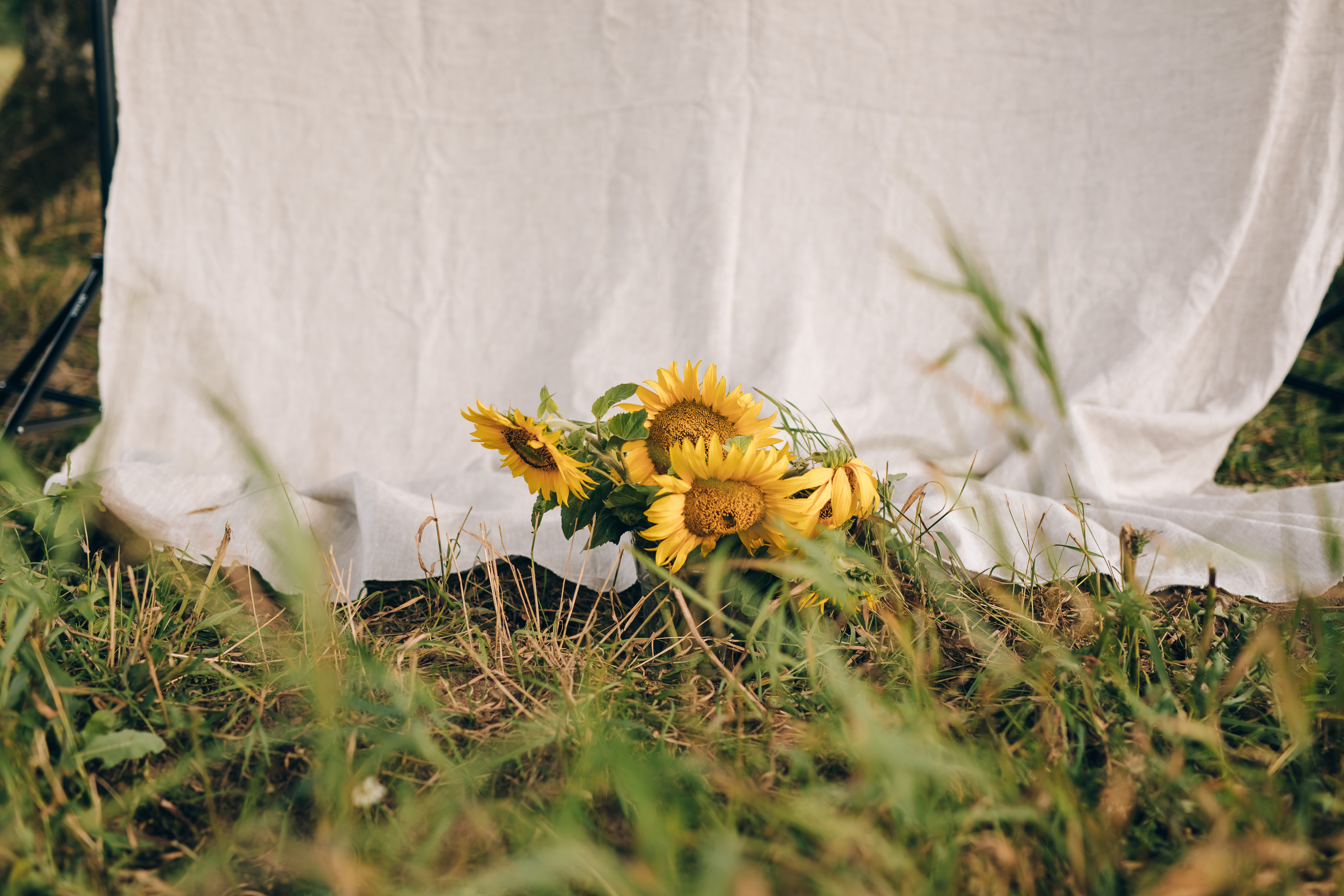Sunflower. Портретный женский фотограф Минск Беларусь Алена Янович