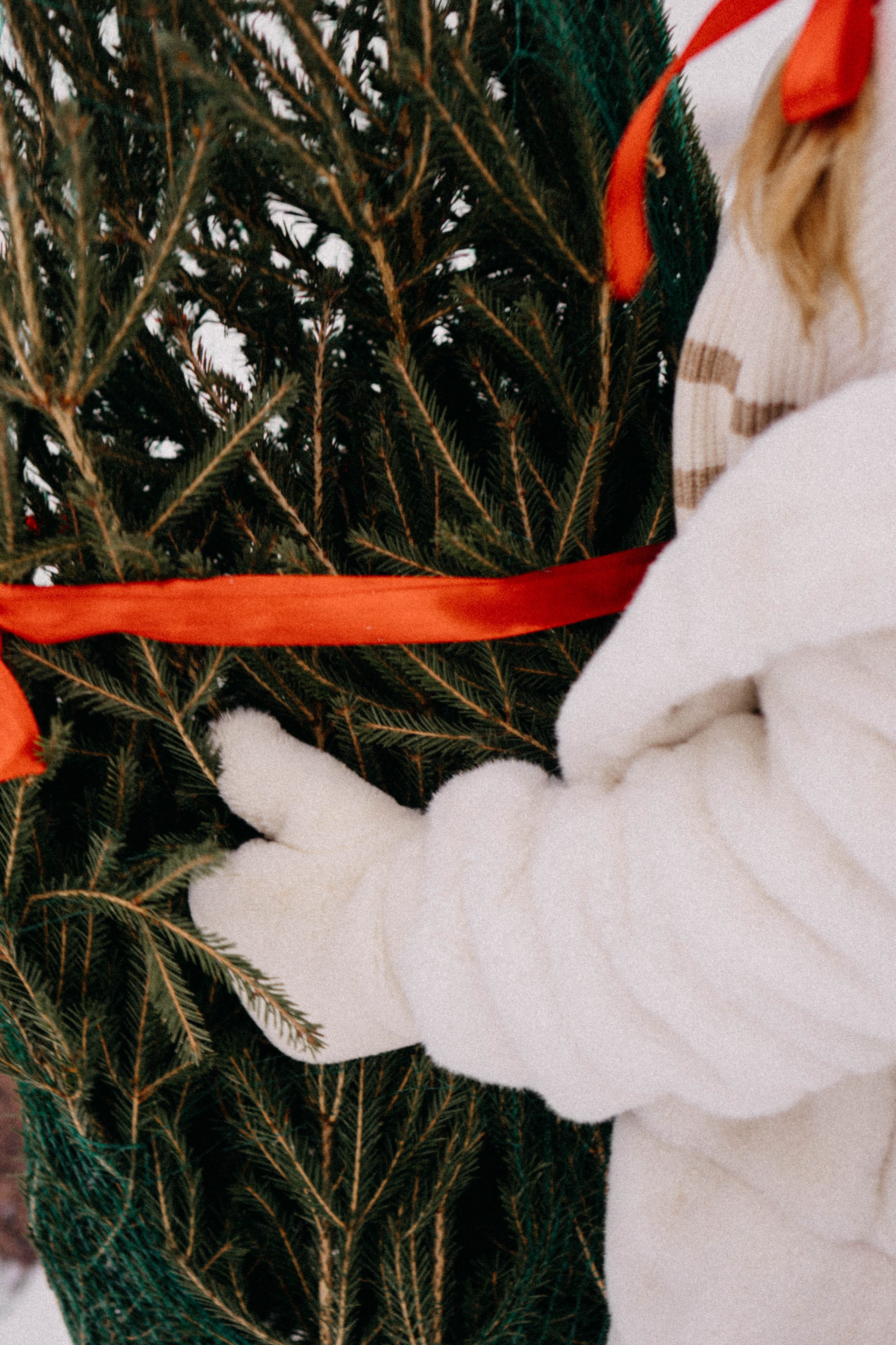 Новогодняя. Профессиональный фотограф, Санкт-Петербург — Виктория Богомолова