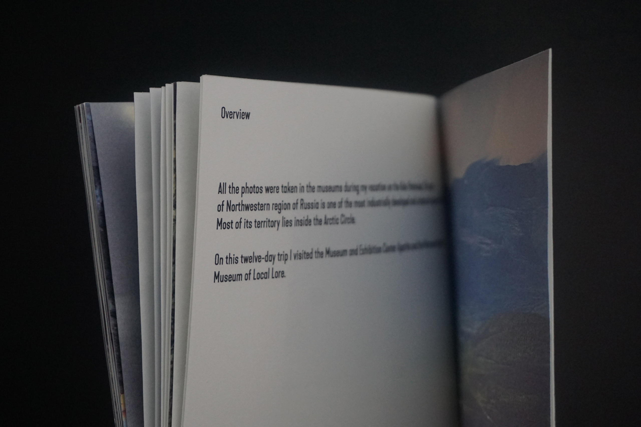 Overview. Anastasia Maryasova