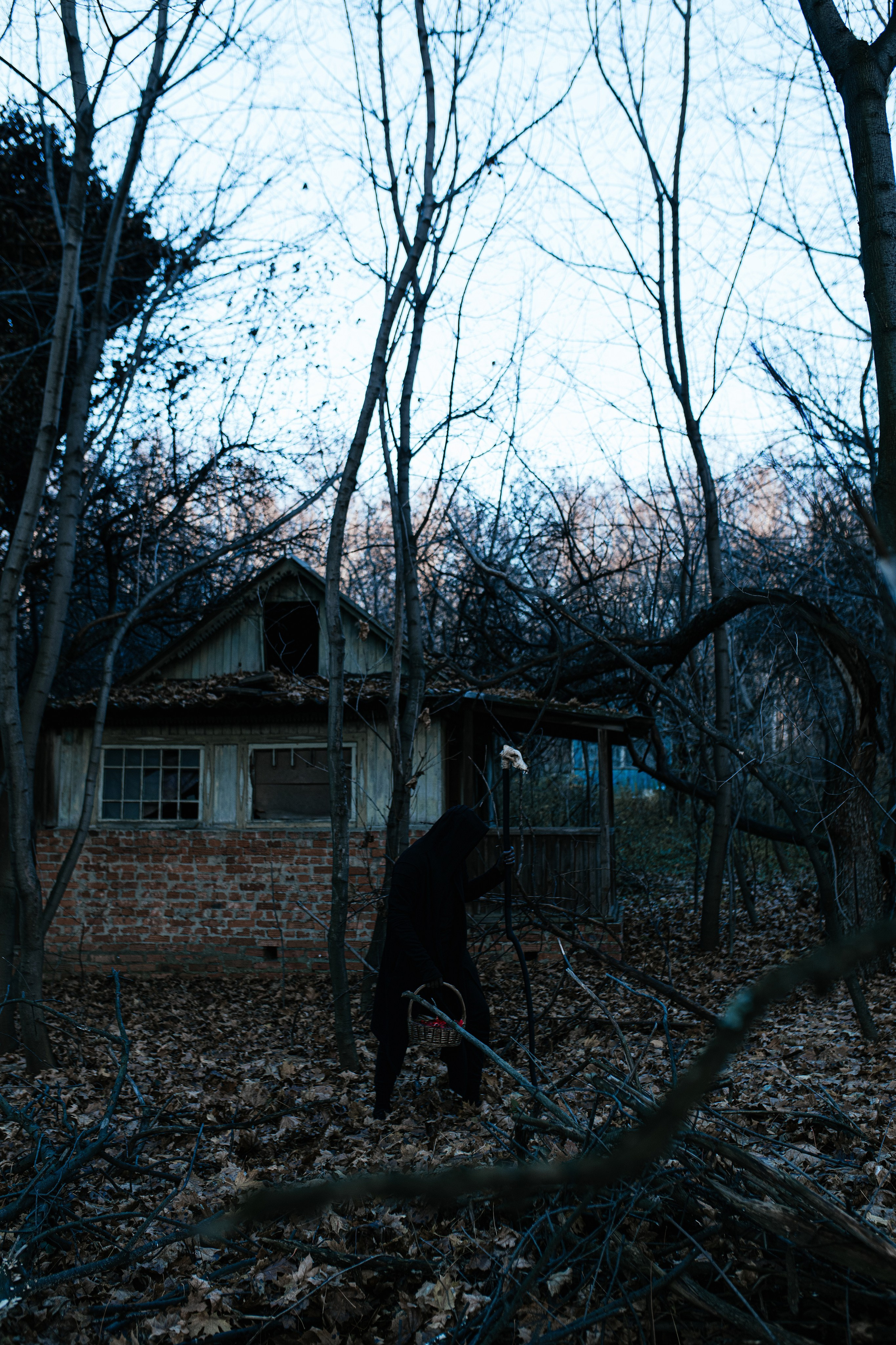Guardian of the Forest. Свадебный, семейный фотограф в Рязани Лена Брант