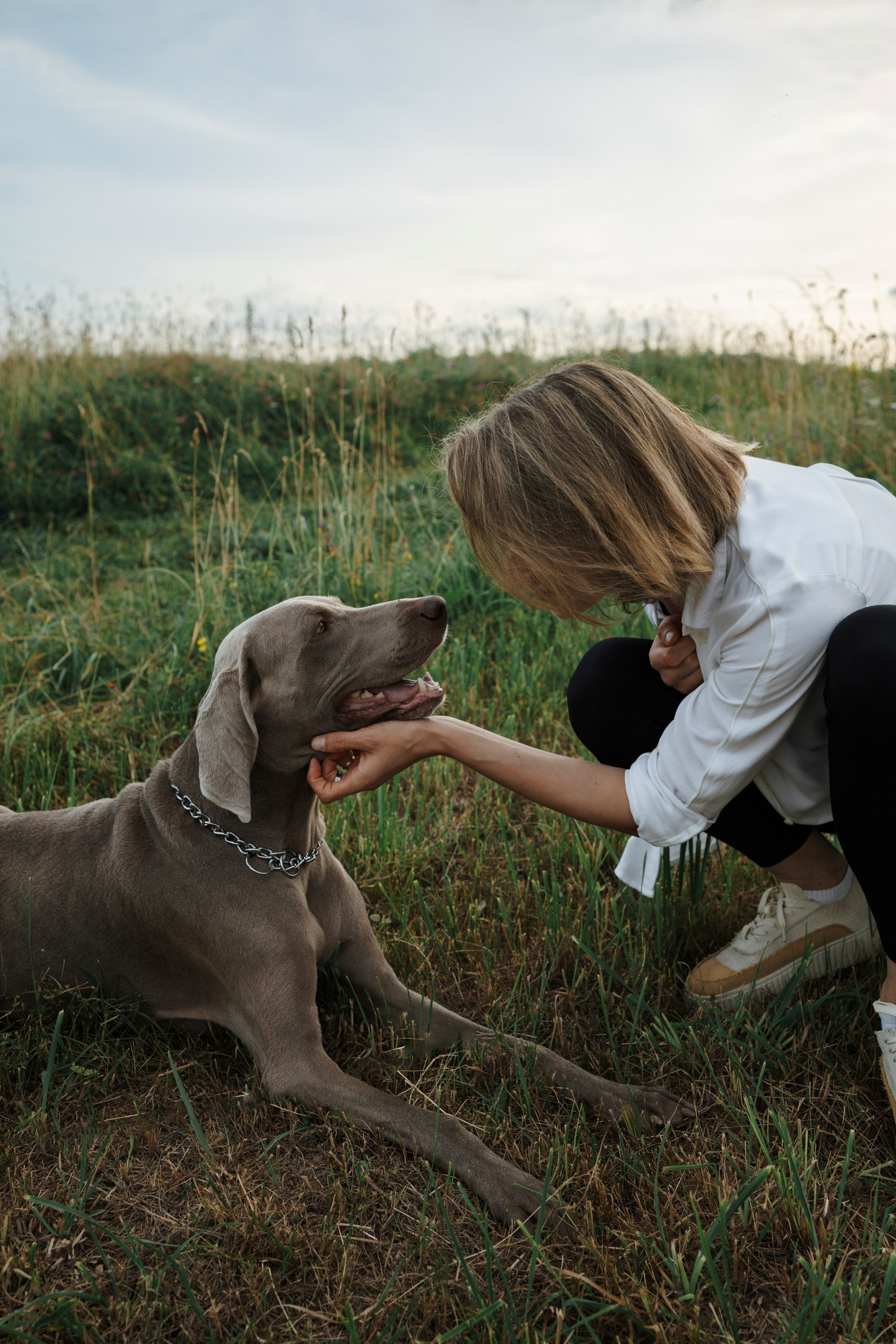 Маргарита и веймаранеры. Фотограф-анималист в Санкт-Петеребурге Титова Алиса
