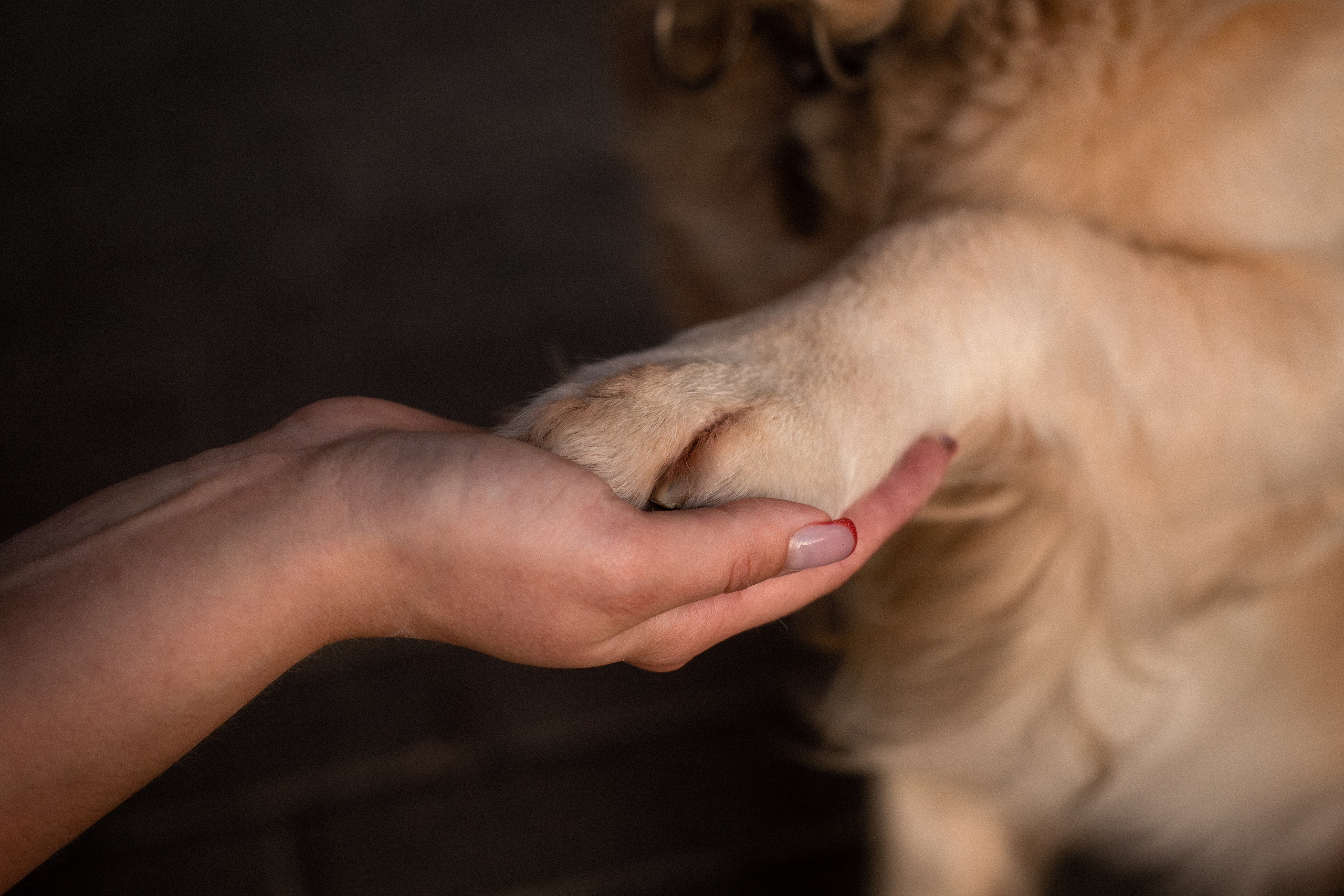 Юля и Мэй. Фотограф-анималист Мария Баркевич | Москва
