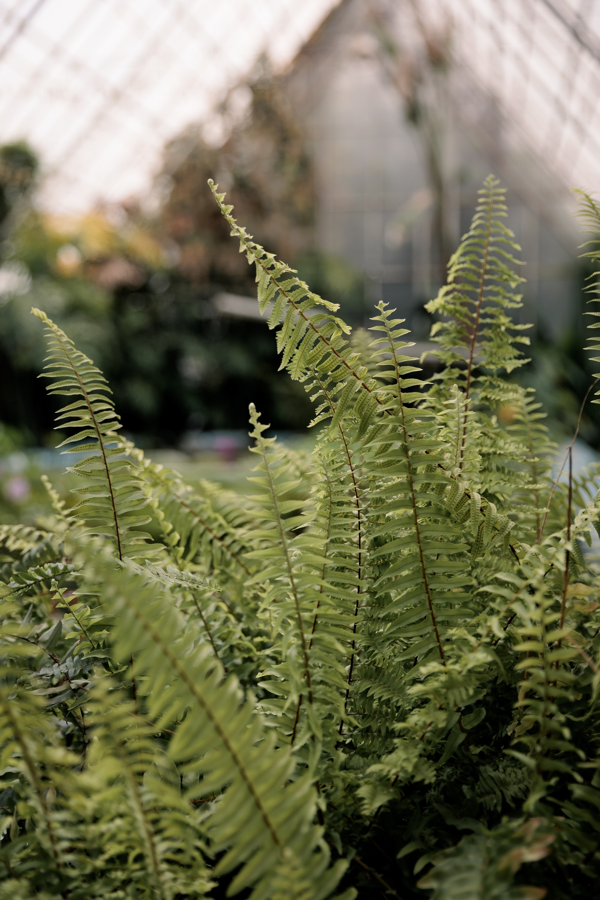 Евгения Сыровая. Игорь Панкратов | Фотограф Ставрополь