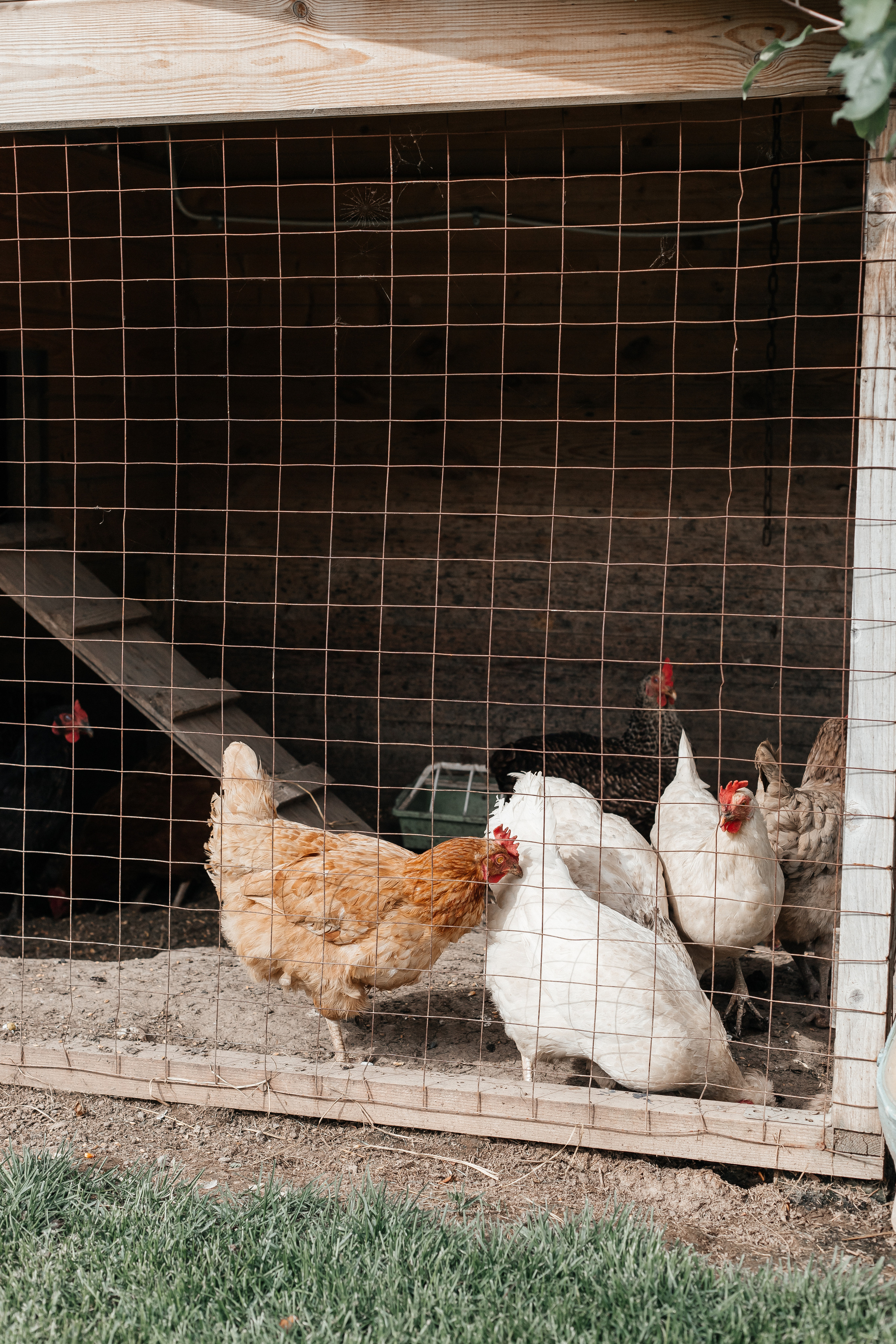 День рождения Дарины. Свадебный фотограф в Москве Элина Ларченкова. Фото, которые цепляют