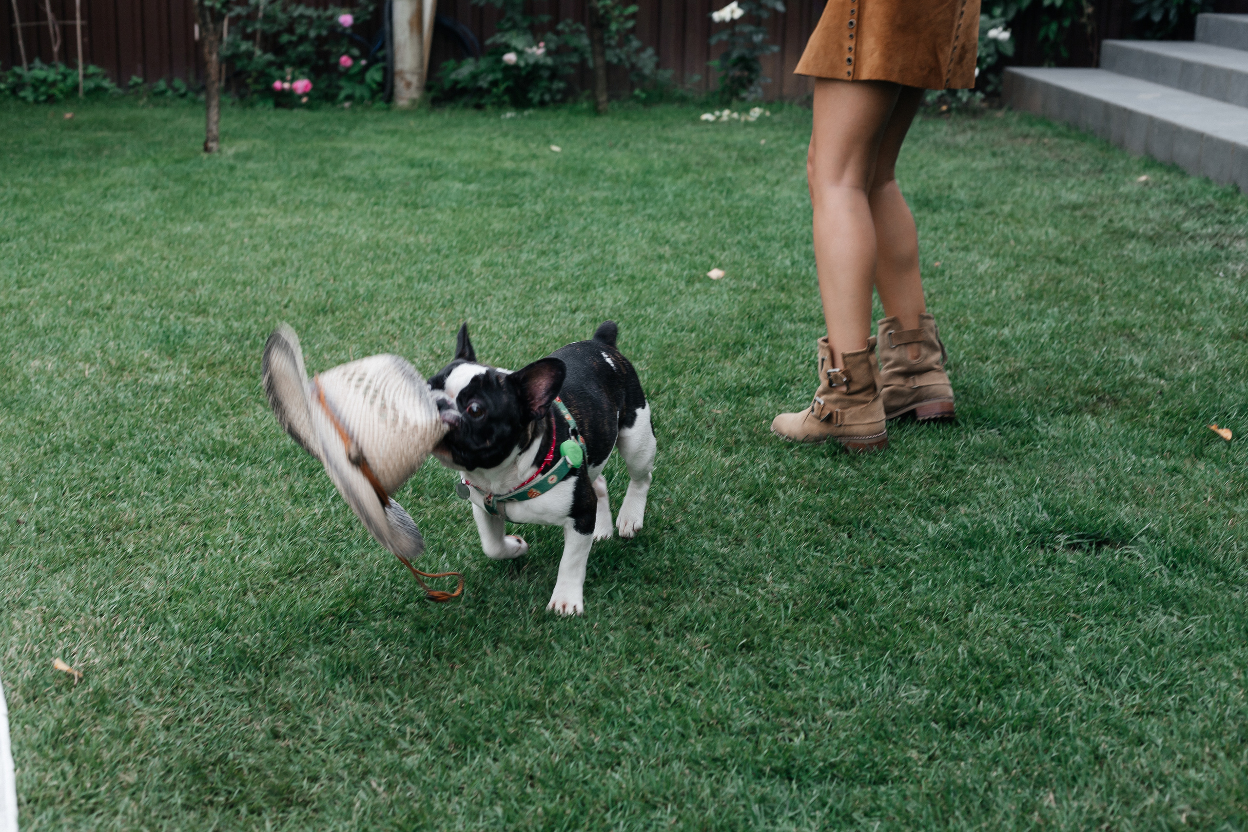 День рождения Дарины. Свадебный фотограф в Москве Элина Ларченкова. Фото, которые цепляют