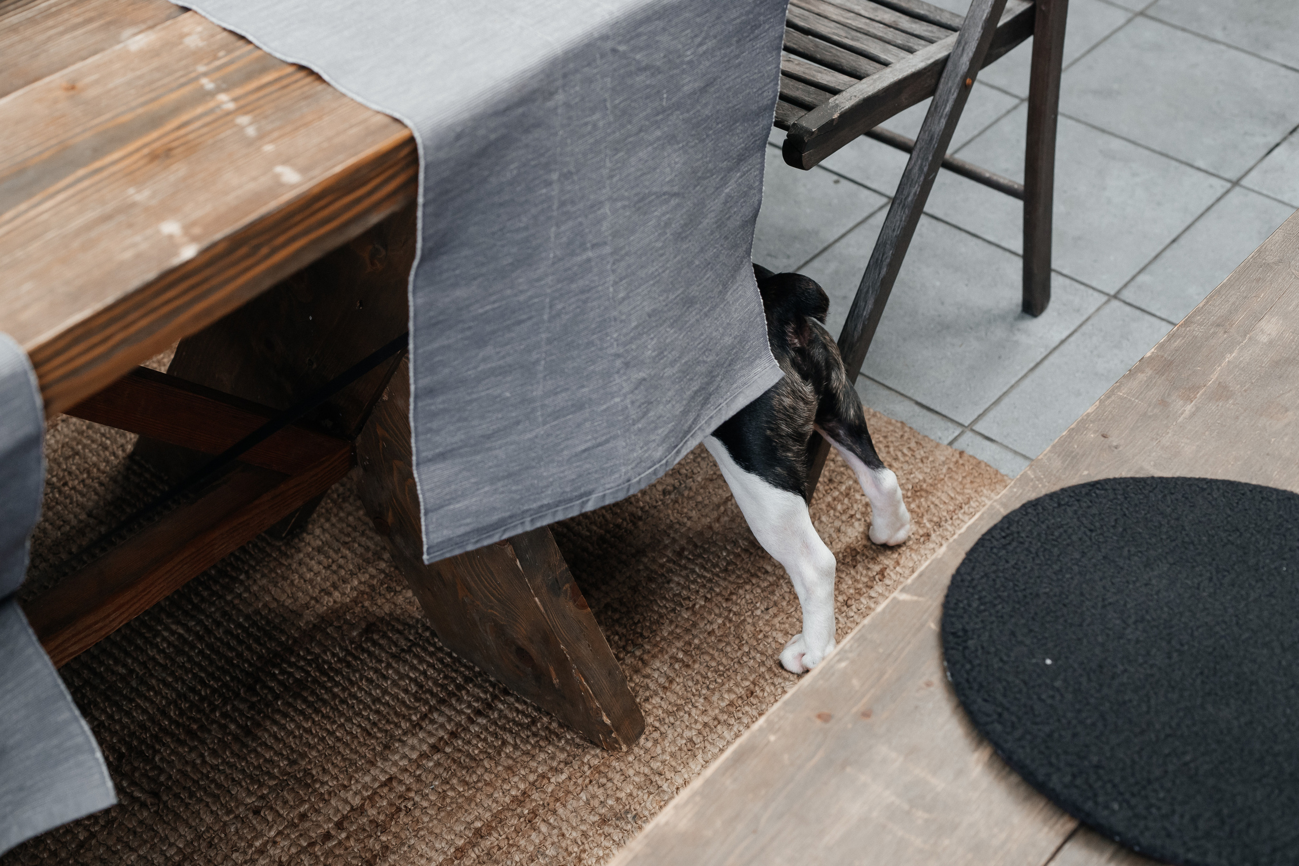 День рождения Дарины. Свадебный фотограф в Москве Элина Ларченкова. Фото, которые цепляют