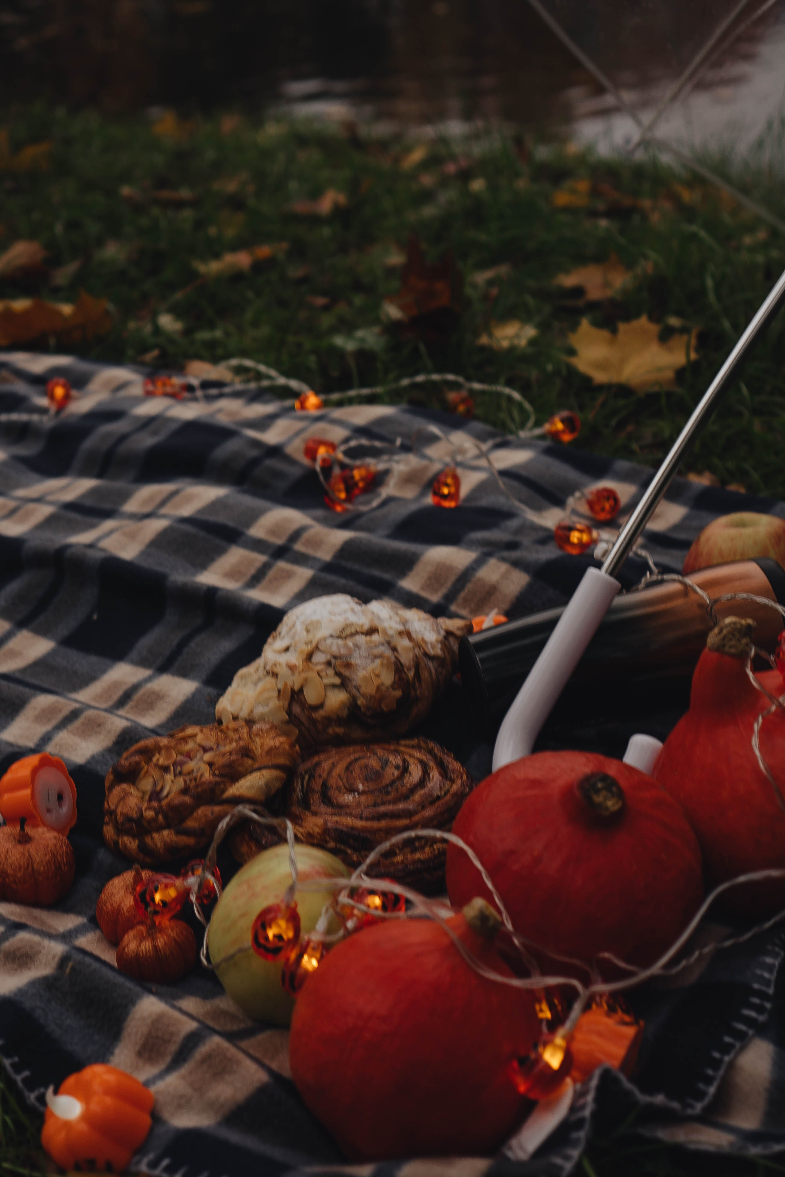 Осень. Профессиональный фотограф, Санкт-Петербург — Виктория Богомолова