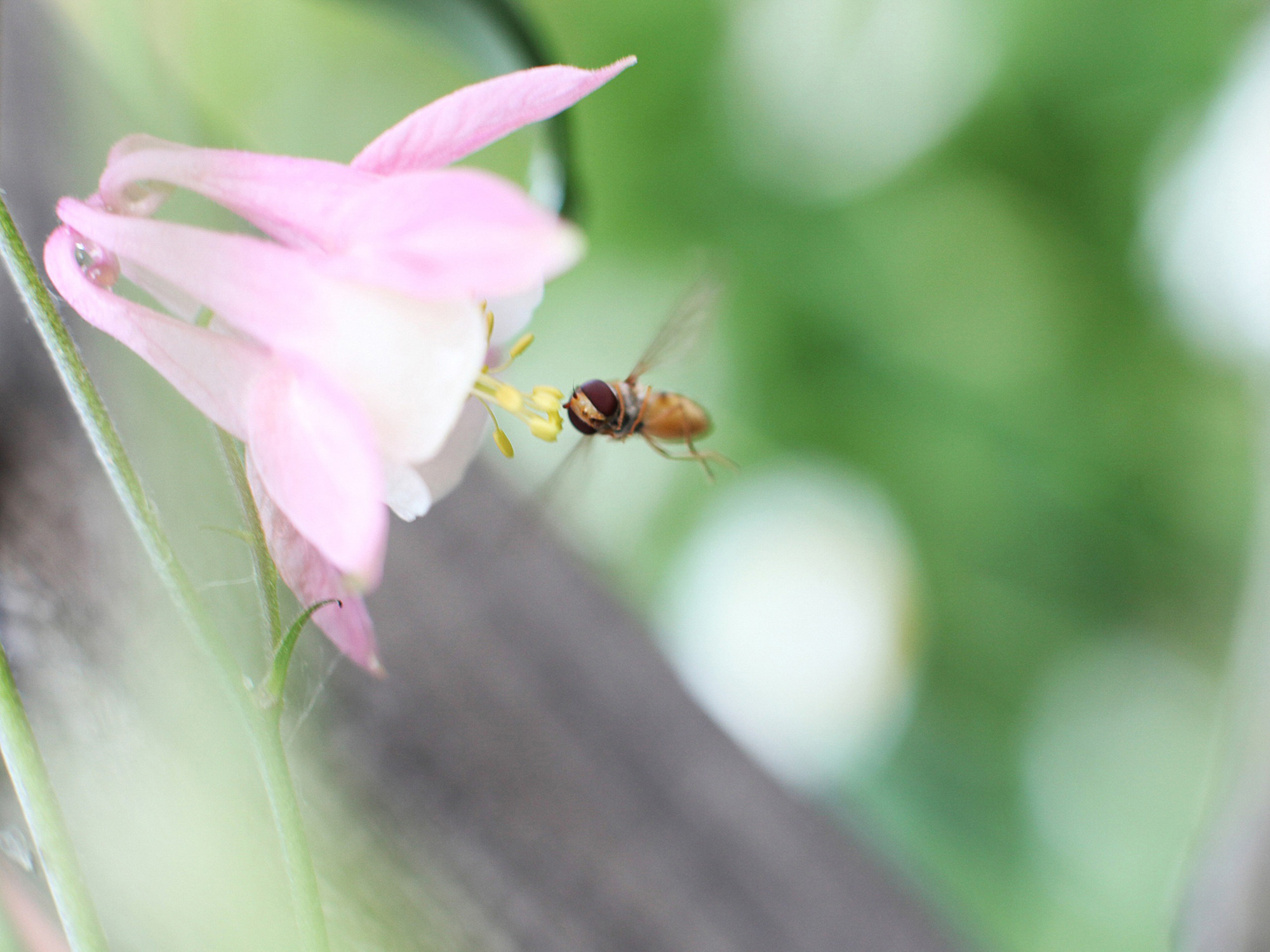 Портфолио. Профессиональный фотограф Инесса Новикова в Москве