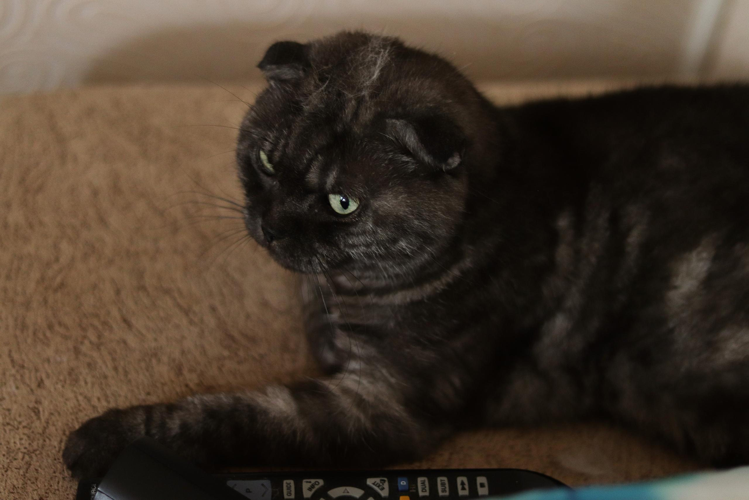 Сергей и Анжелика. Фотограф в Челябинске Наталья Епимахова