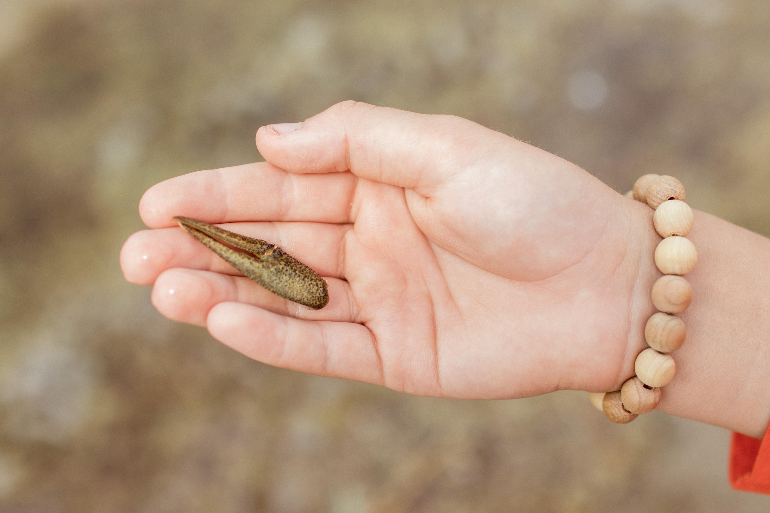 Воздушный змей. Фотограф в Челябинске Наталья Епимахова