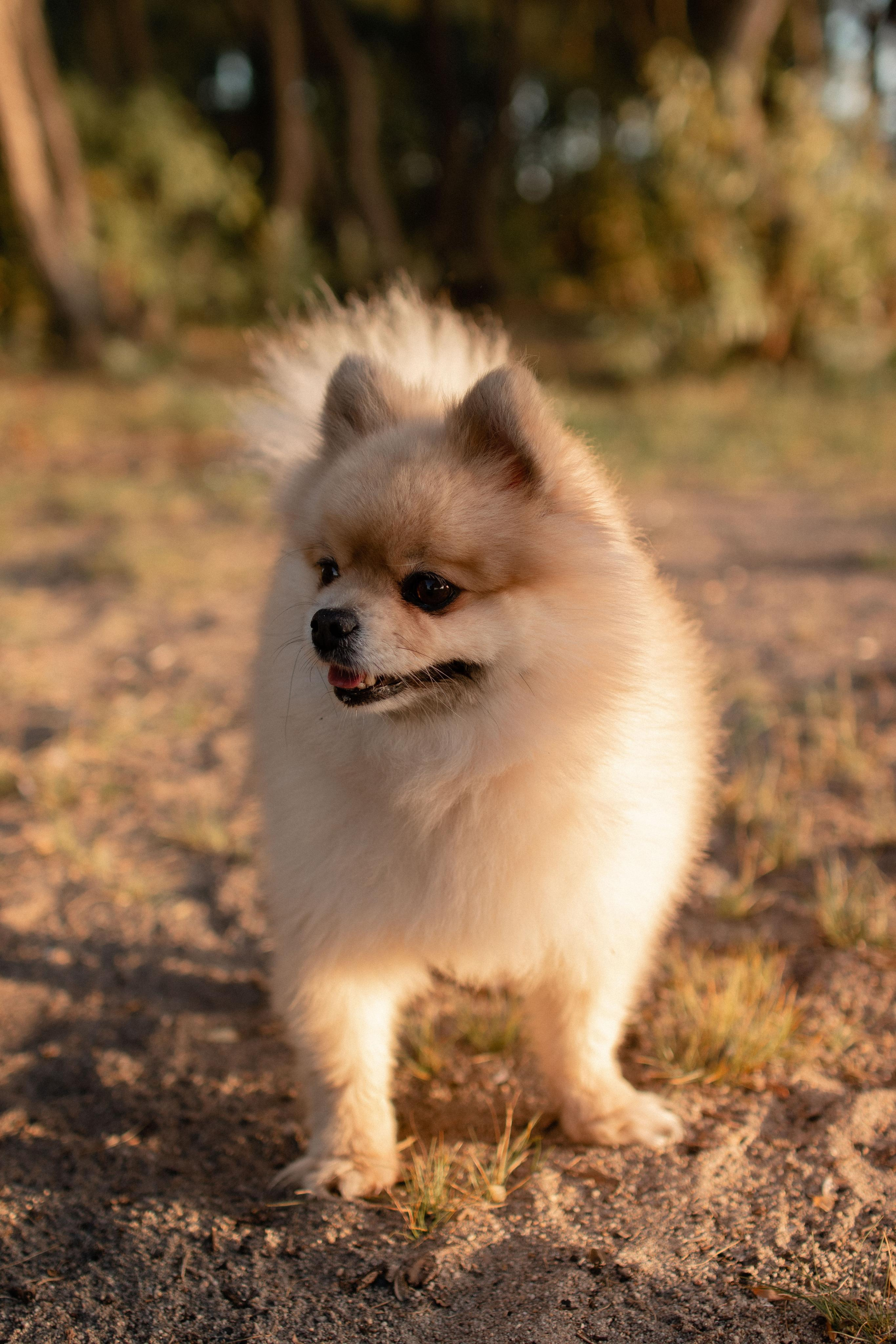 Мама и дочь. Фотограф в Челябинске Наталья Епимахова