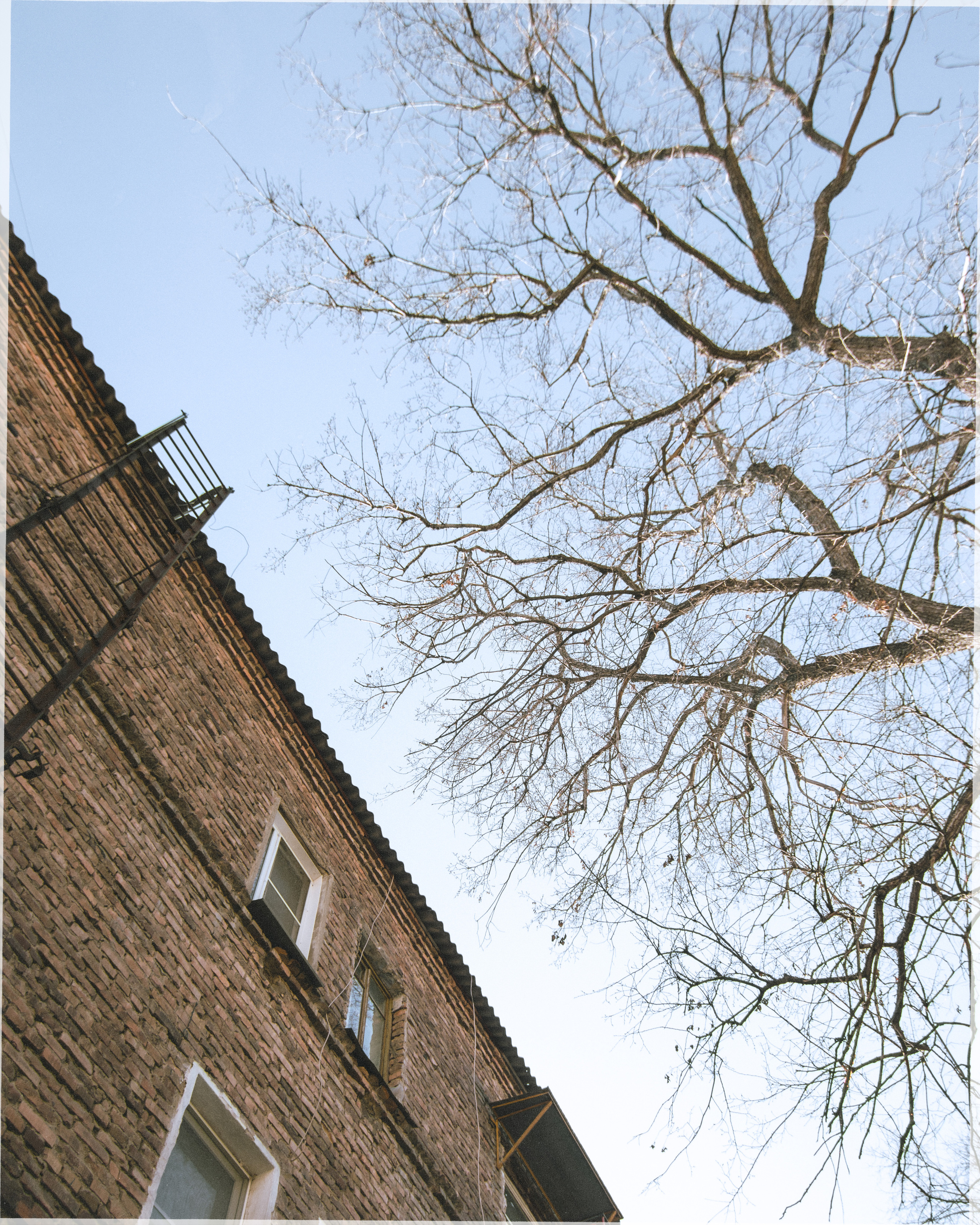 Аня. Фотограф в Челябинске Наталья Епимахова