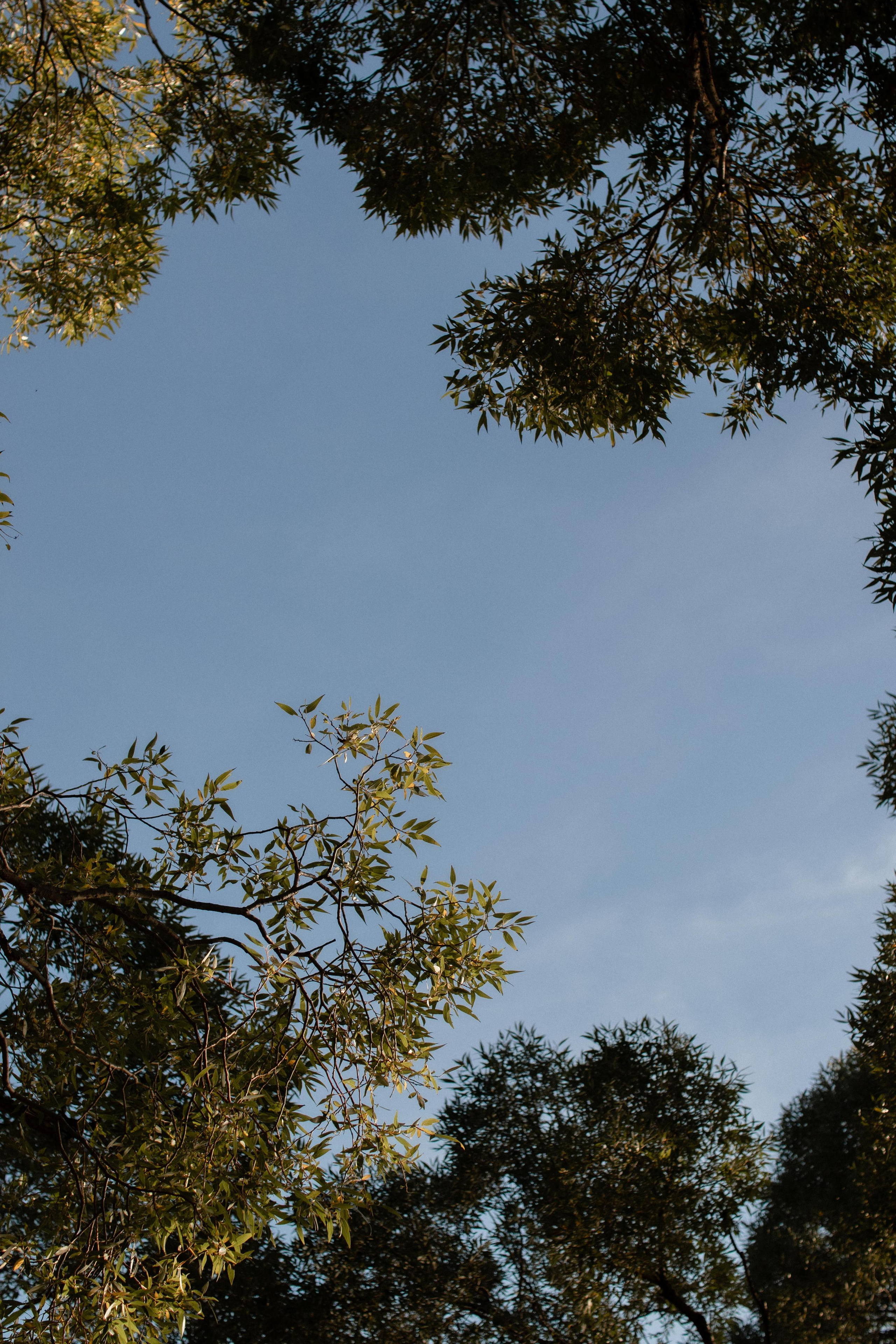 Мама и дочь. Фотограф в Челябинске Наталья Епимахова