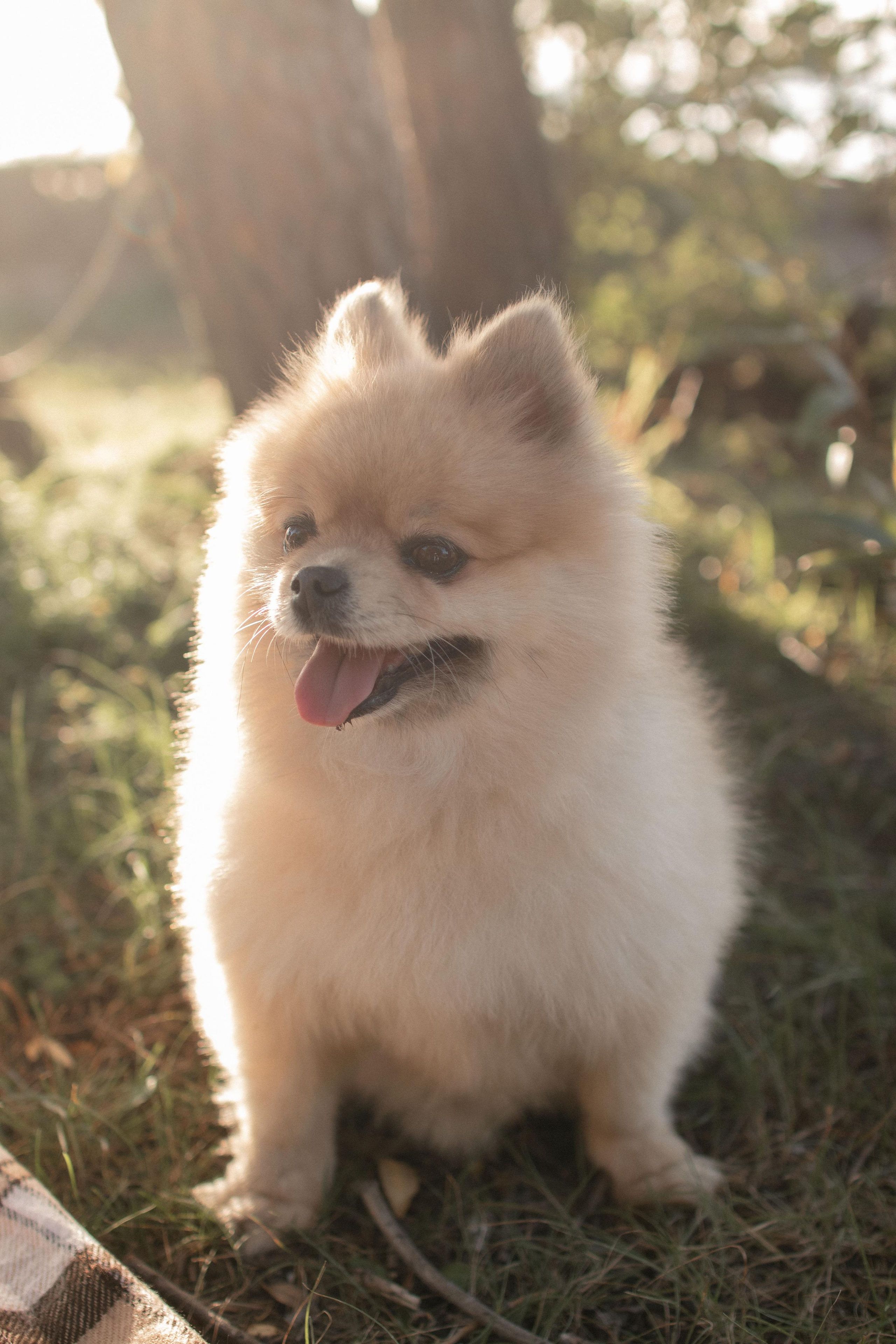 Мама и дочь. Фотограф в Челябинске Наталья Епимахова