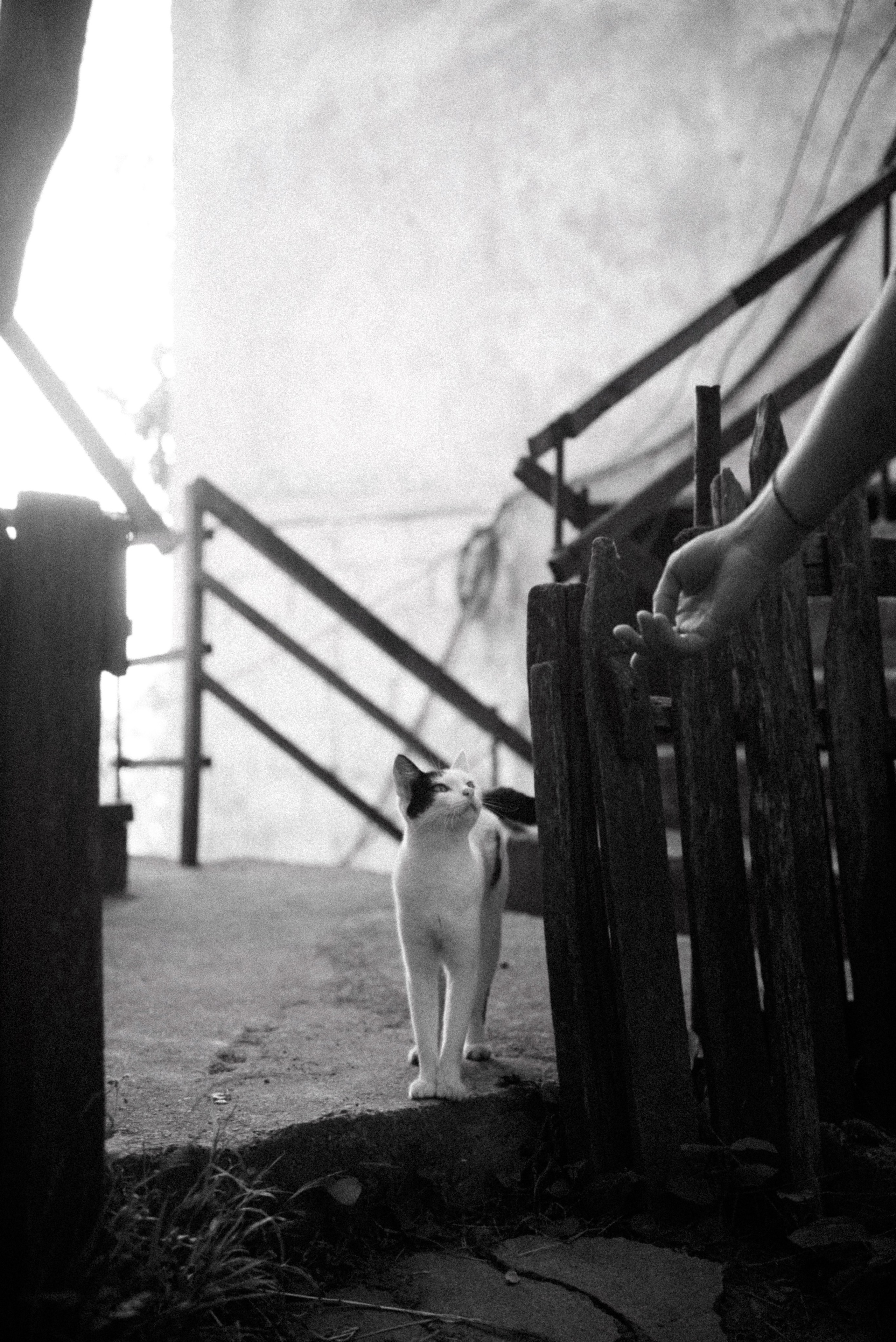 Верхняя Аджария, Грузия 🇬🇪. Anita_photo