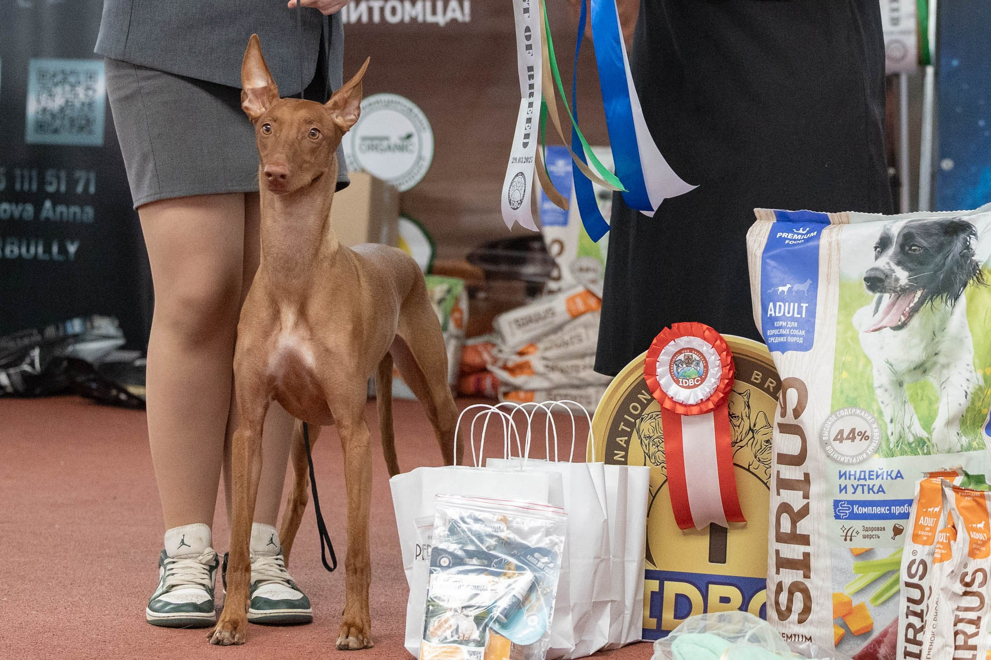 IDBC. Виктория Михайловская. Фотограф-анималист. Москва