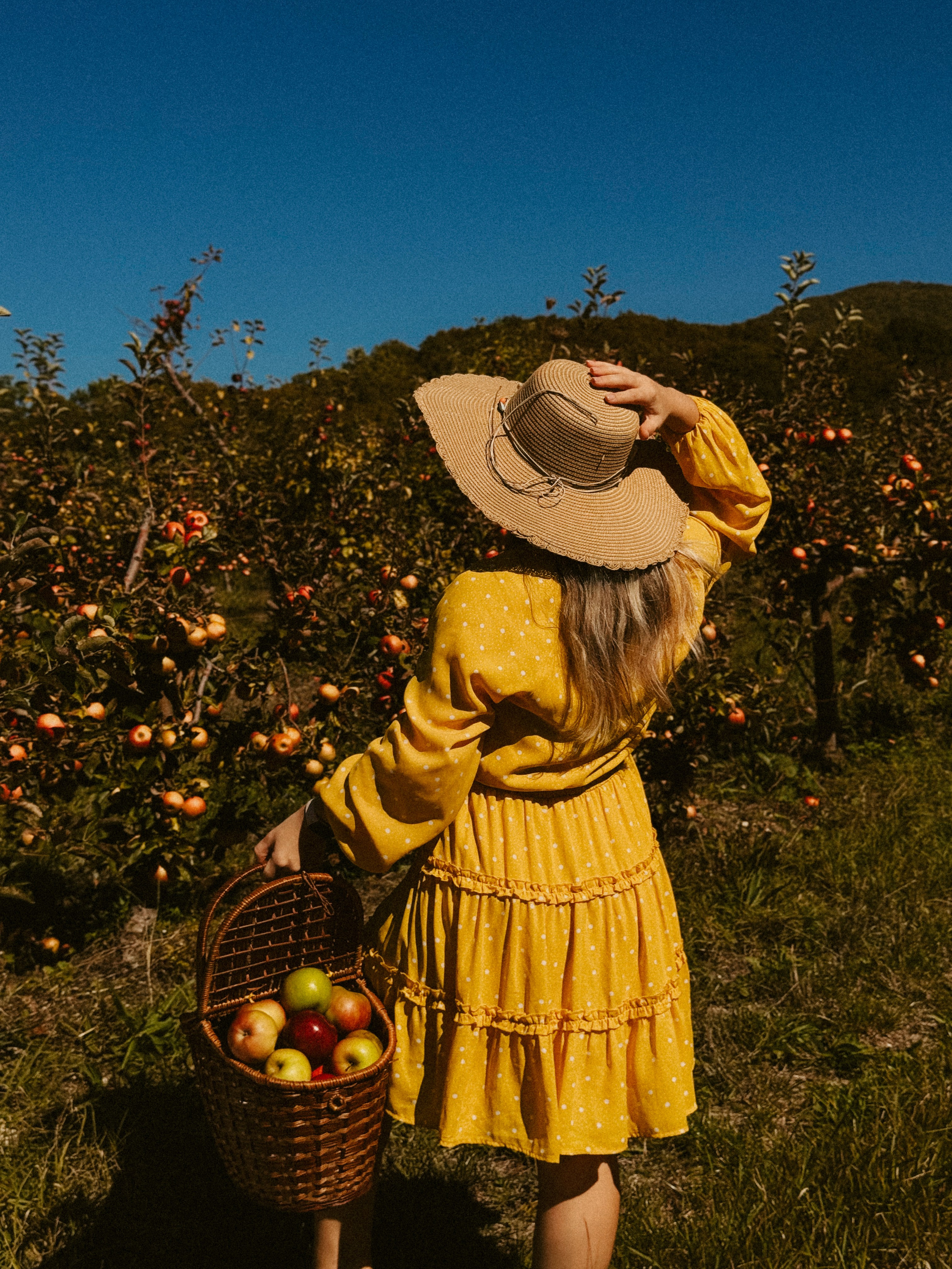 Ксюша Яблоки Сад. Inga Simonova | Семейный и детский фотограф у моря