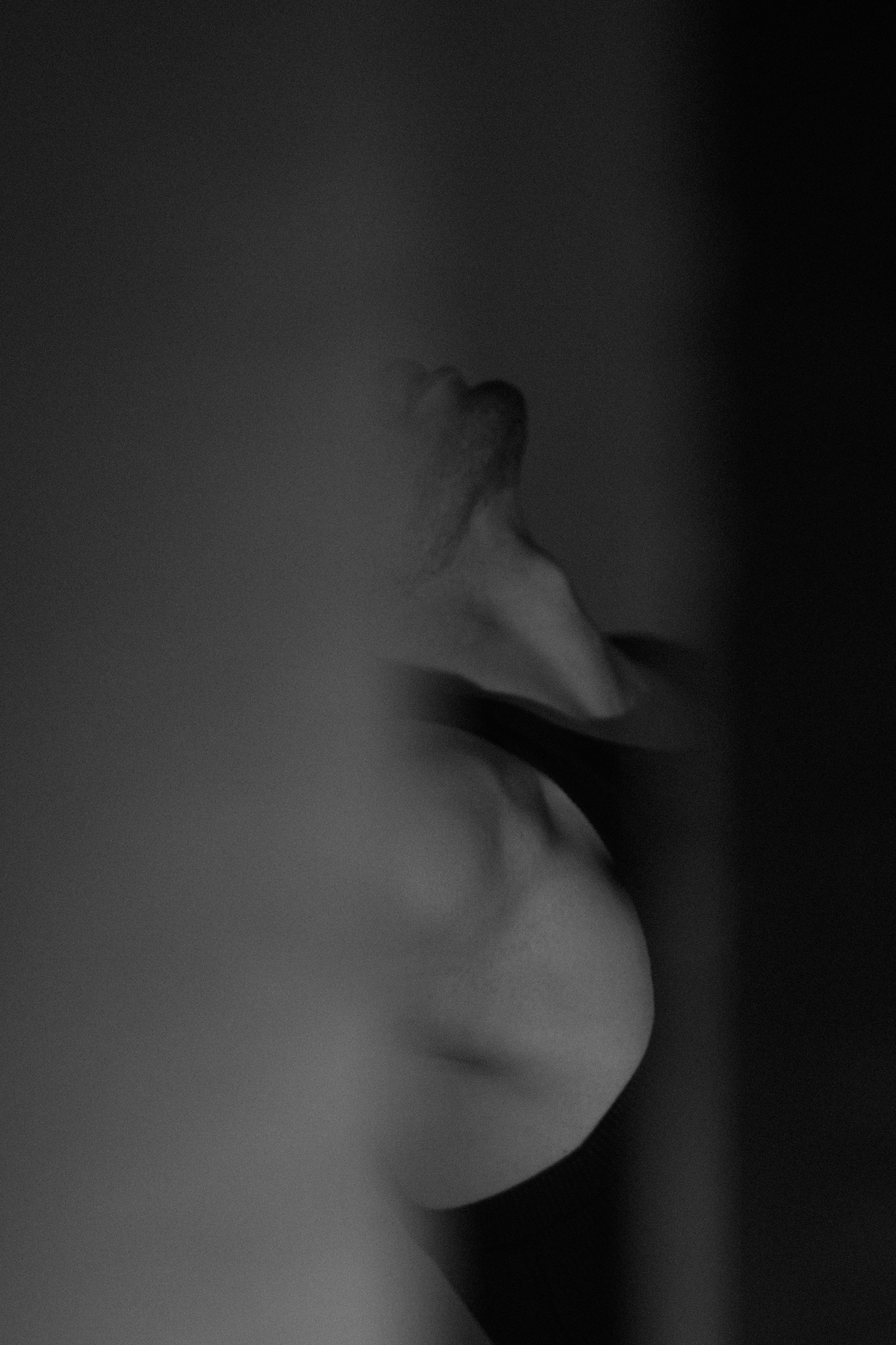 Фотограф Москва, фотосъемка Москва, фотограф Москва,  услуги фотографа Москва, 