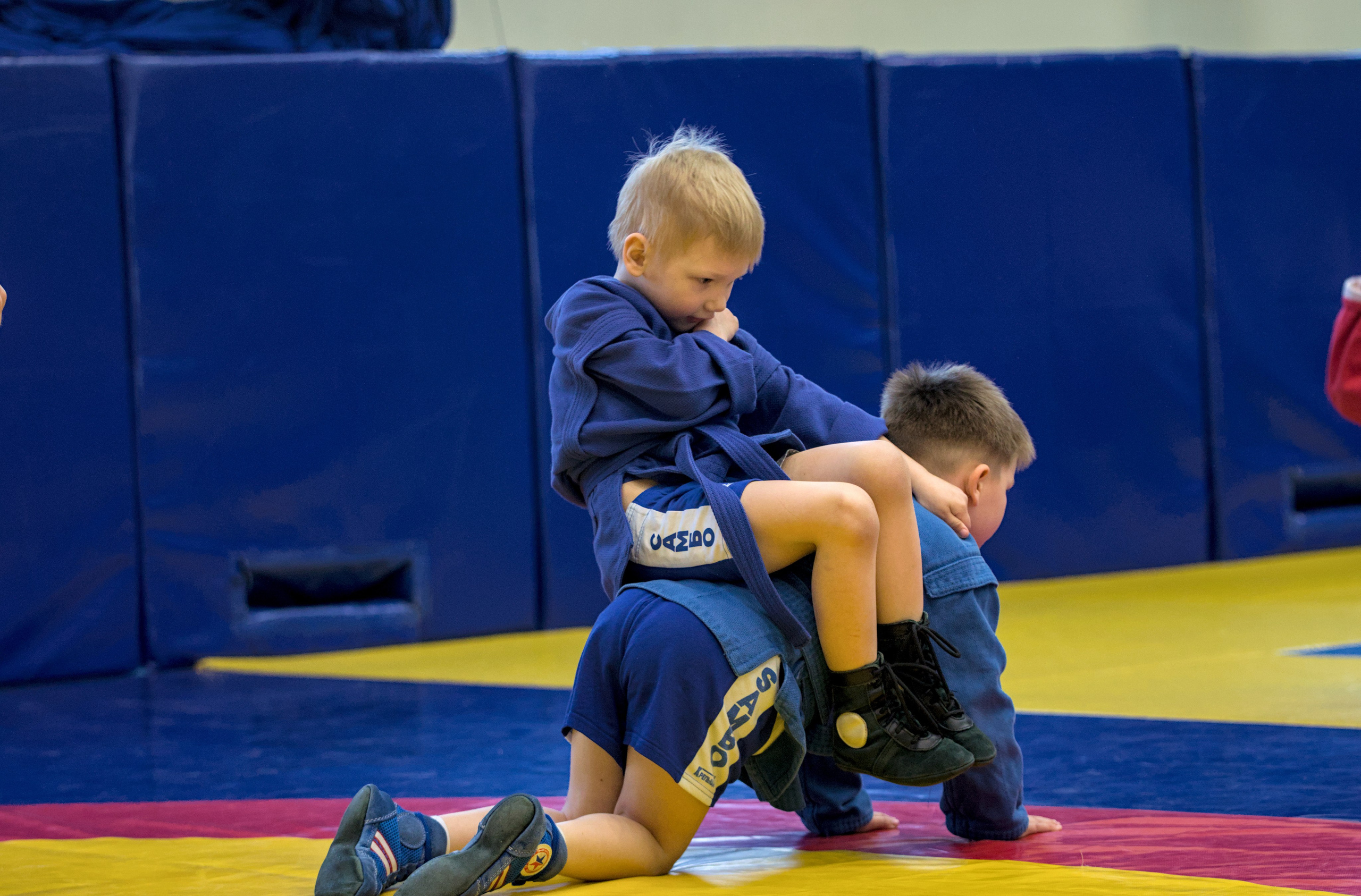 Показательные выступления для родителей секции спортивно-боевого самбо. Фото детских спортивных мероприятий и всякое интересное через объектив