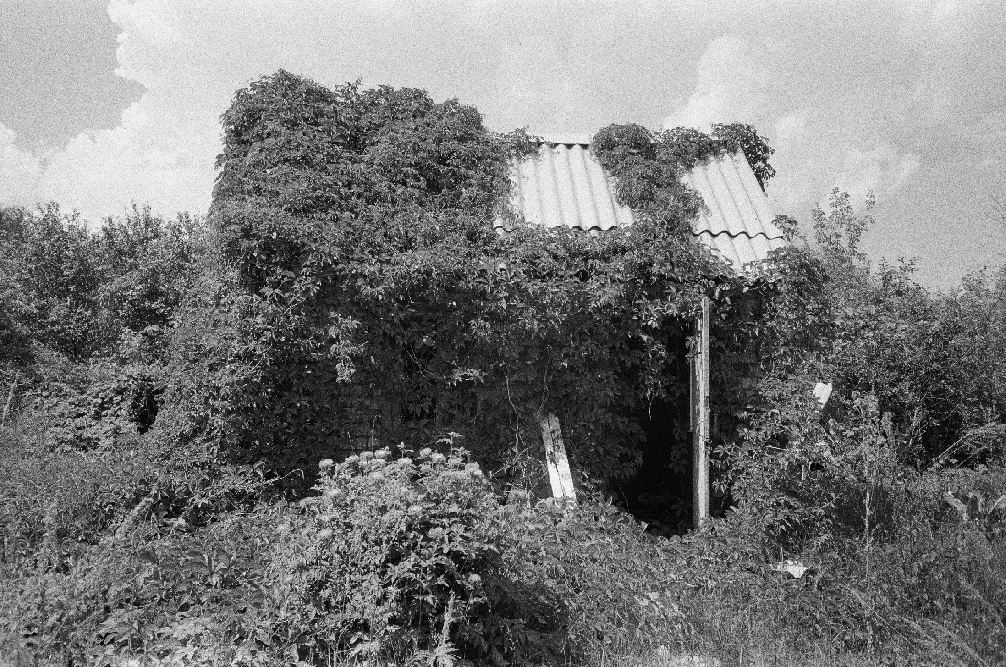 Art pro 1. Творчество, исцеление, эстетика и щепотка волшебства