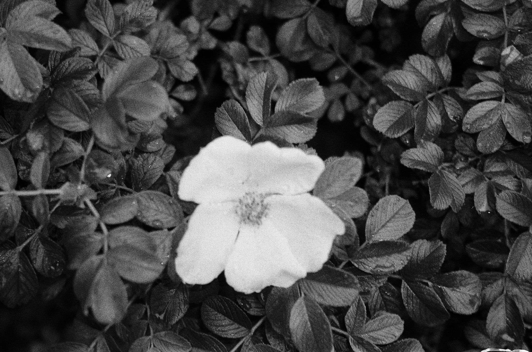 Art pro 1. Творчество, исцеление, эстетика и щепотка волшебства