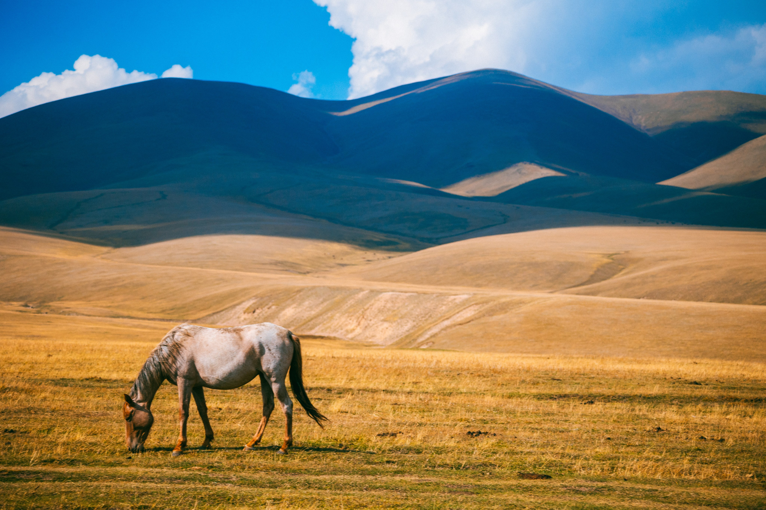 Плато Ассы, озеро Иссык и водопад: комфорт-маршрут, джипы, мини-группа. Экскурсии и туры по Алматы