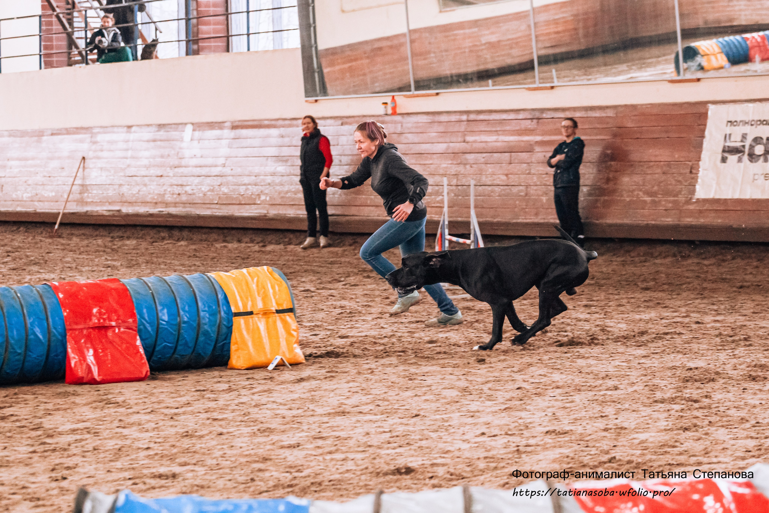 Соревнования по Аджилити 25.02.2024. Фотограф-анималист Татьяна Степанова
