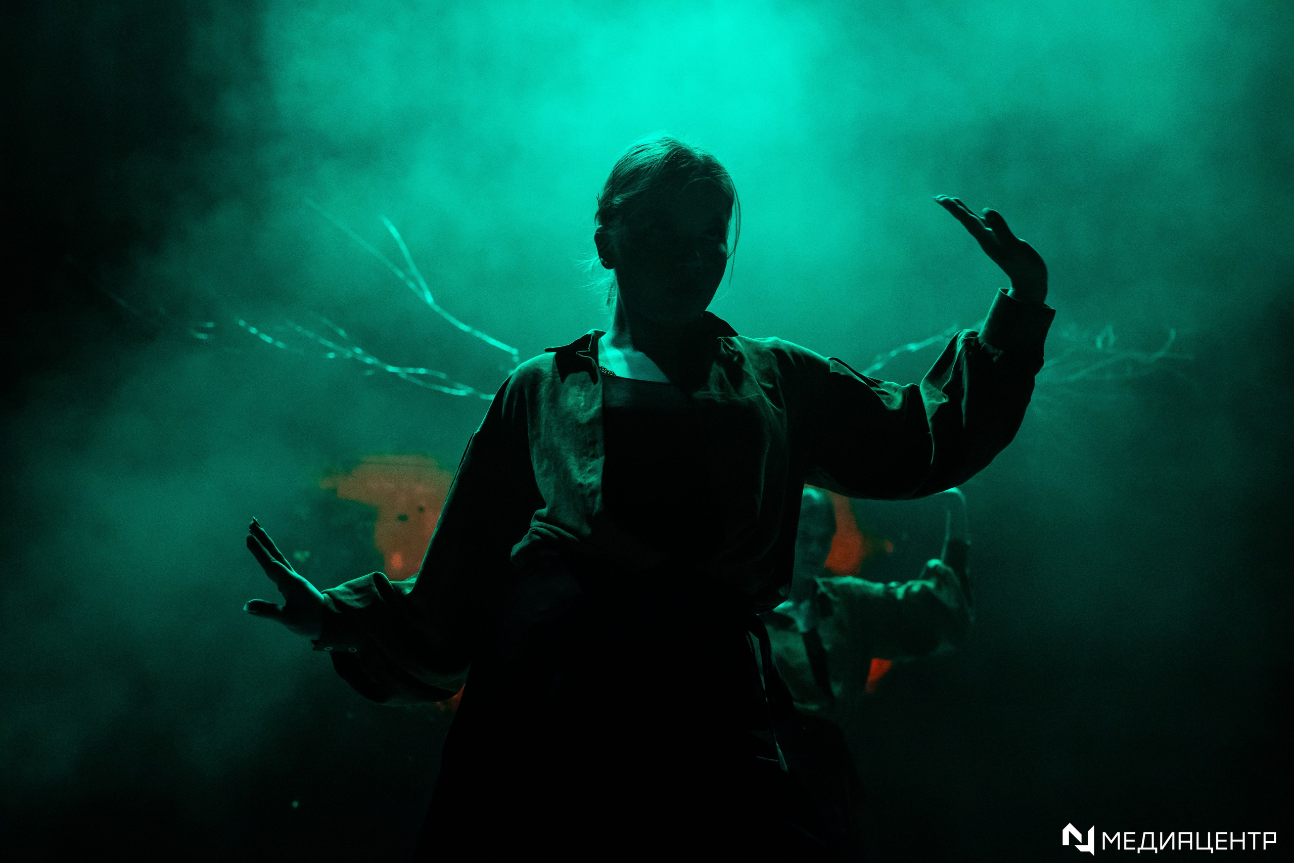 Концерты. Фотограф в Воронеже Ольга Космодемьянская