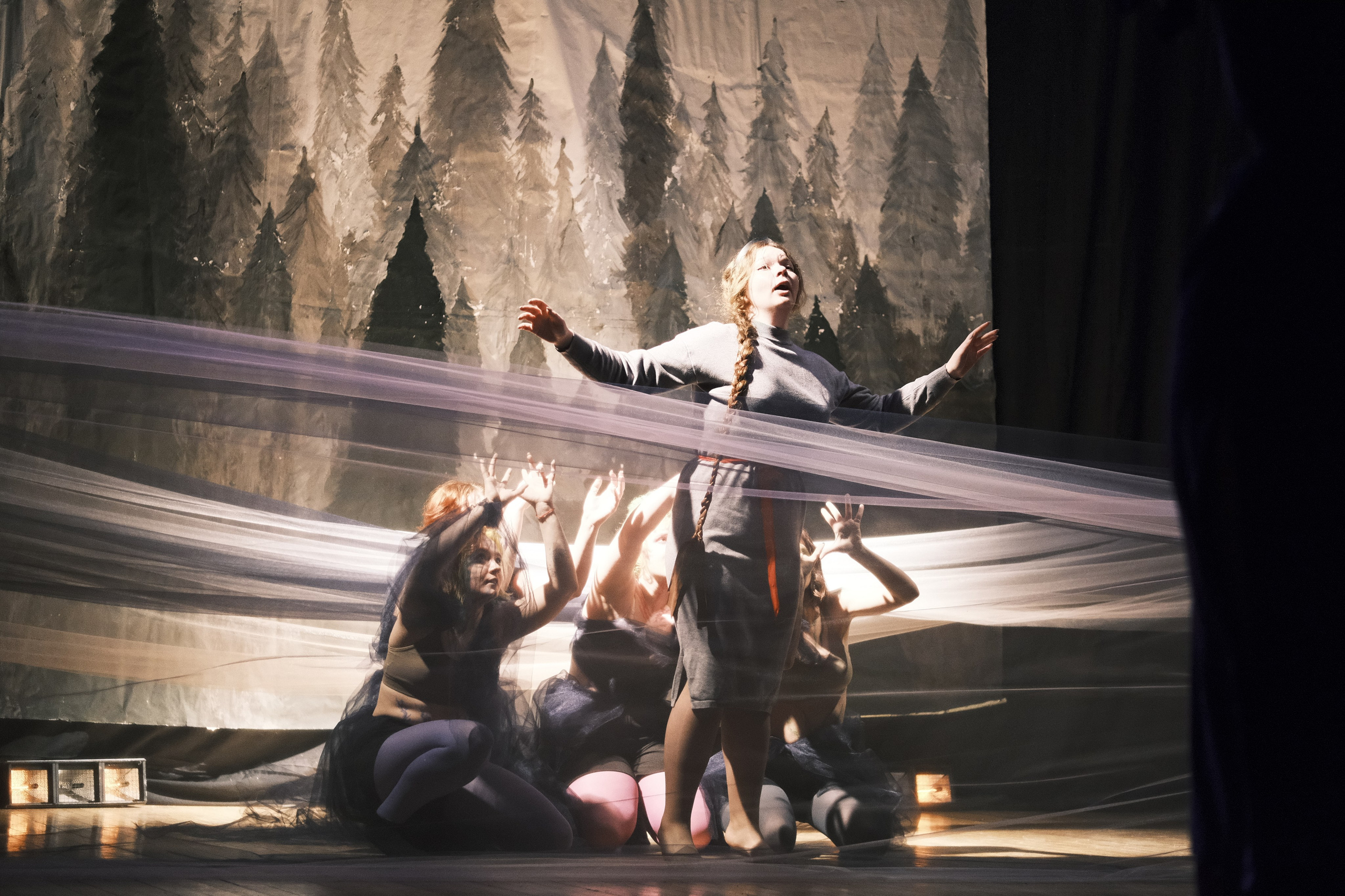 Концерты. NVSL STD