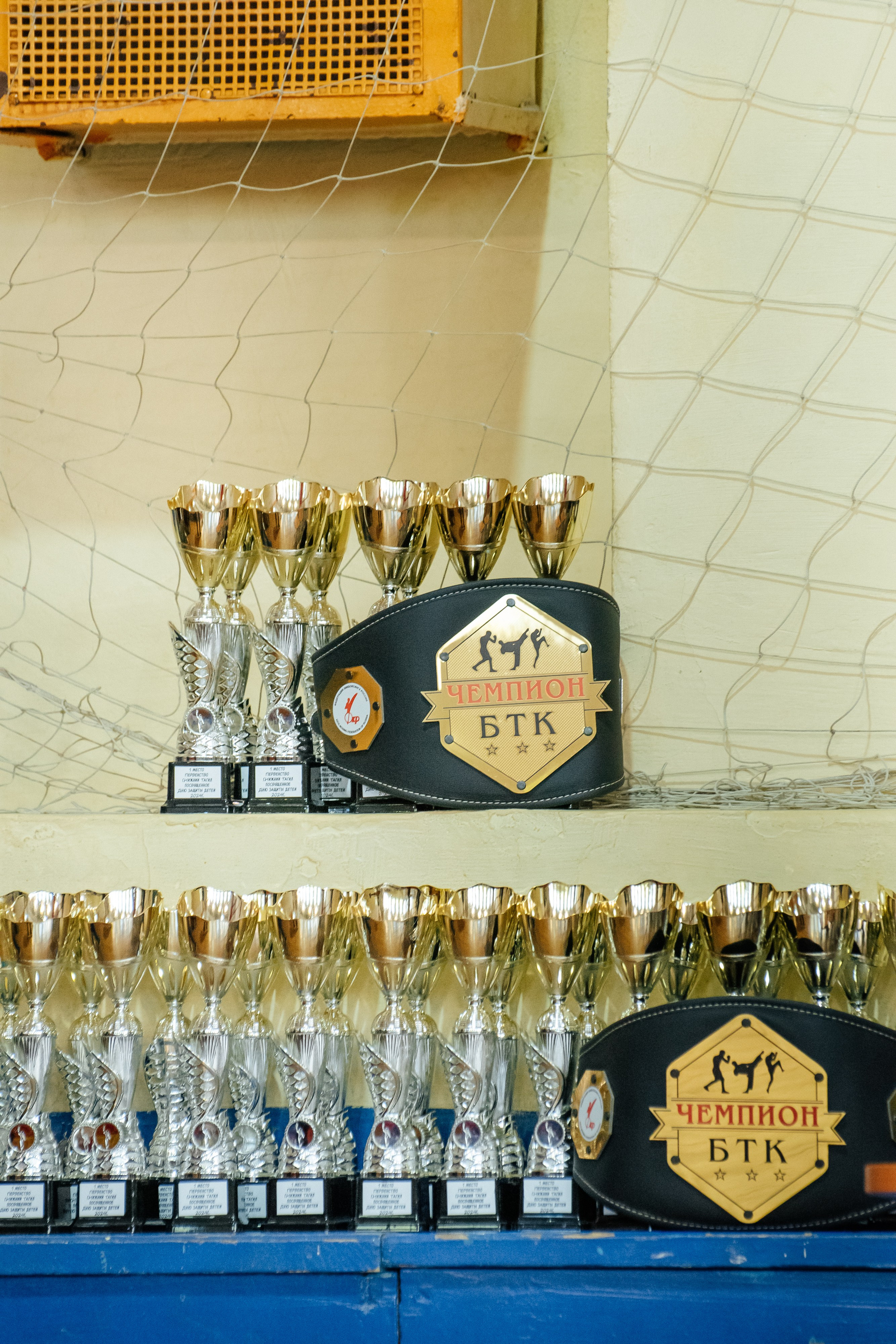 Кубки стоят в ожидании своих победителей