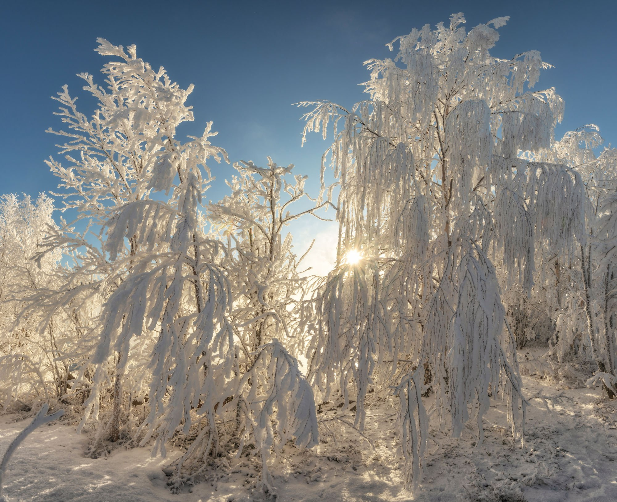 Фотографии Кольский полуостров Карелия
