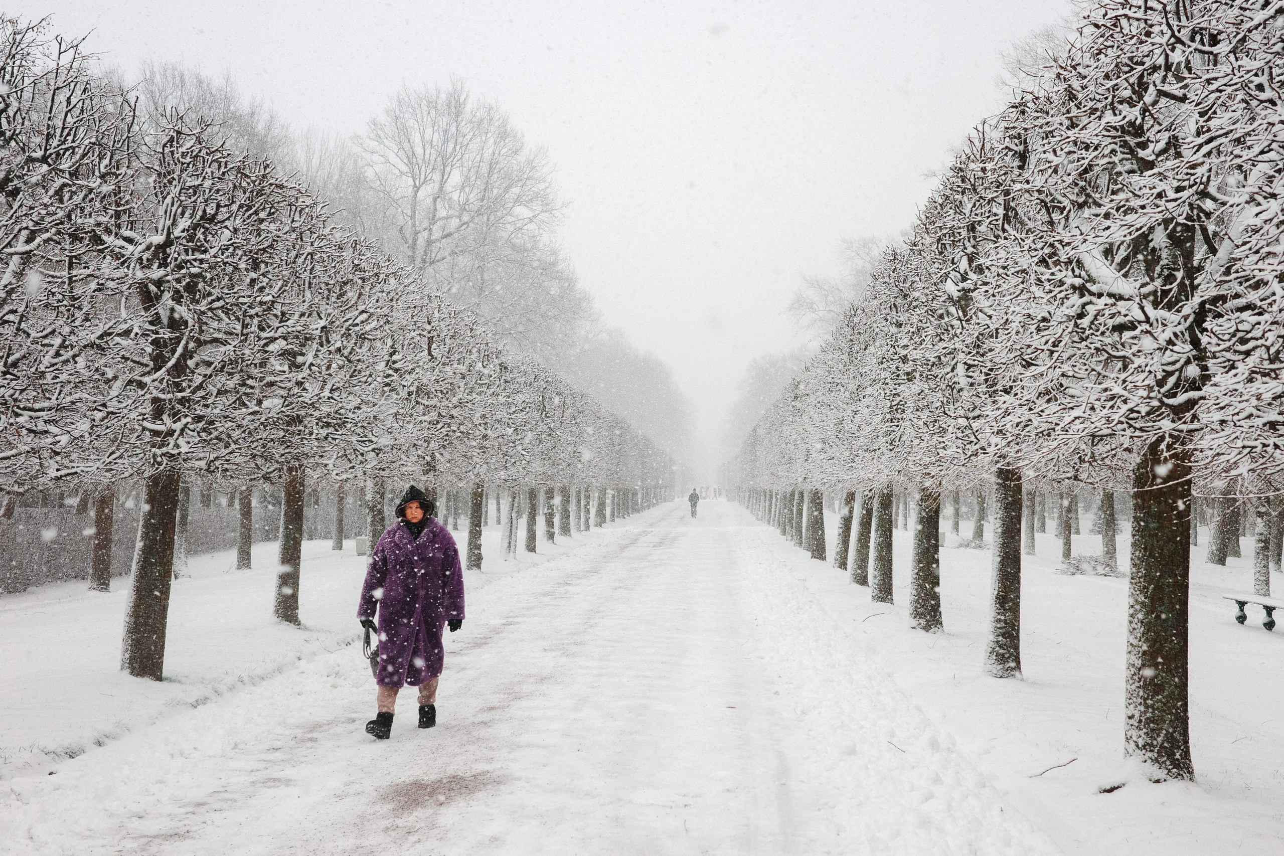 2025.02. Фотограф Алексей Алексеев