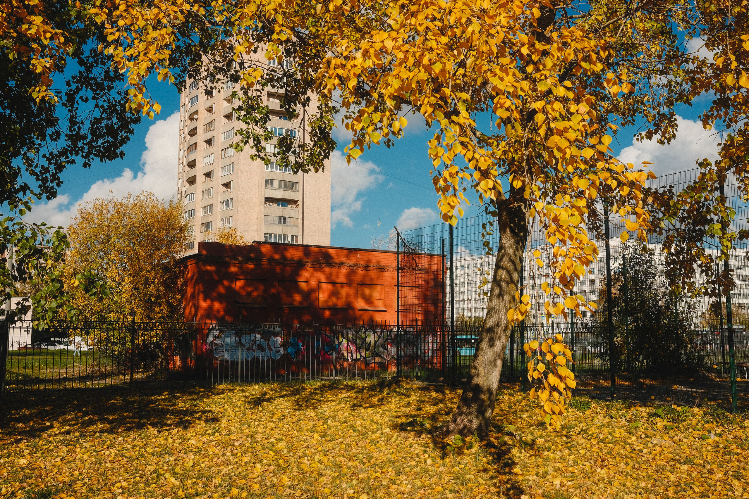 2022.10. Фотограф Алексей Алексеев