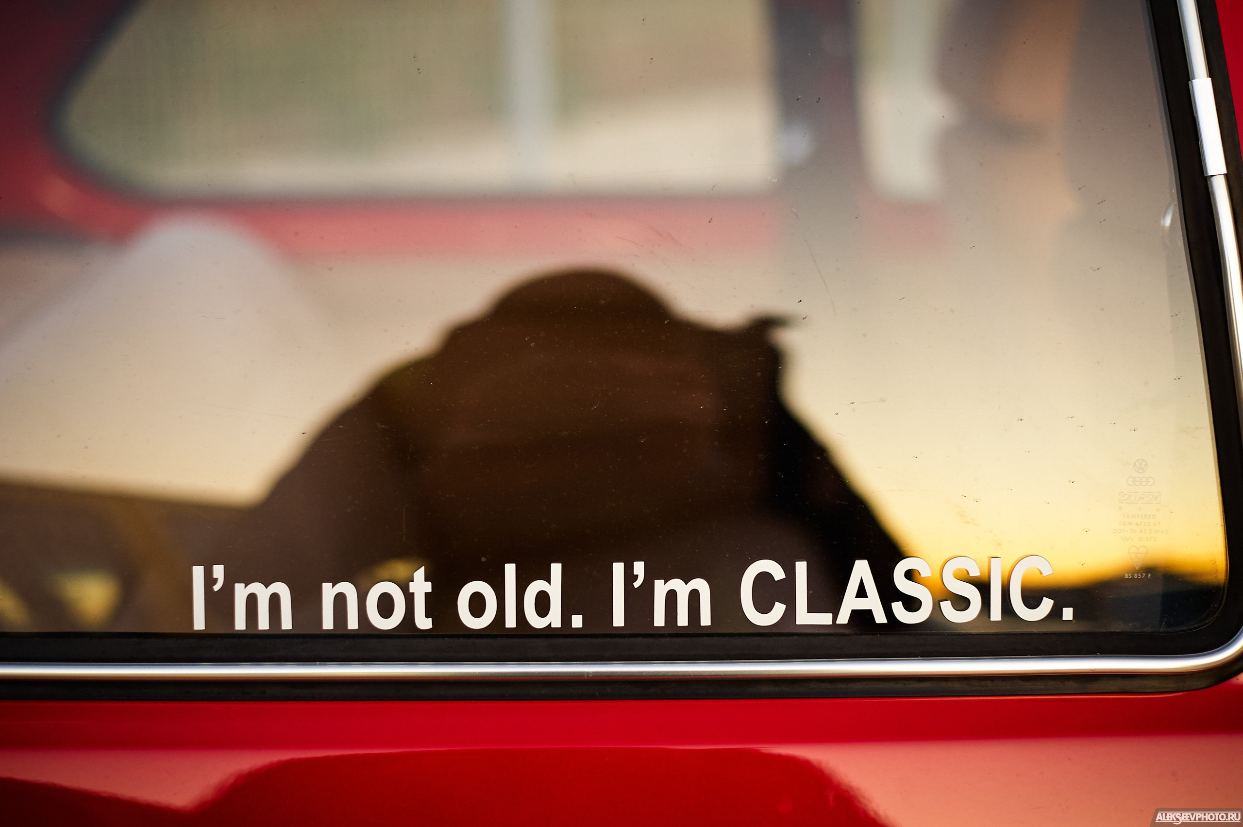 Tsunami Picnic 2020 — expo. Фотограф Алексей Алексеев