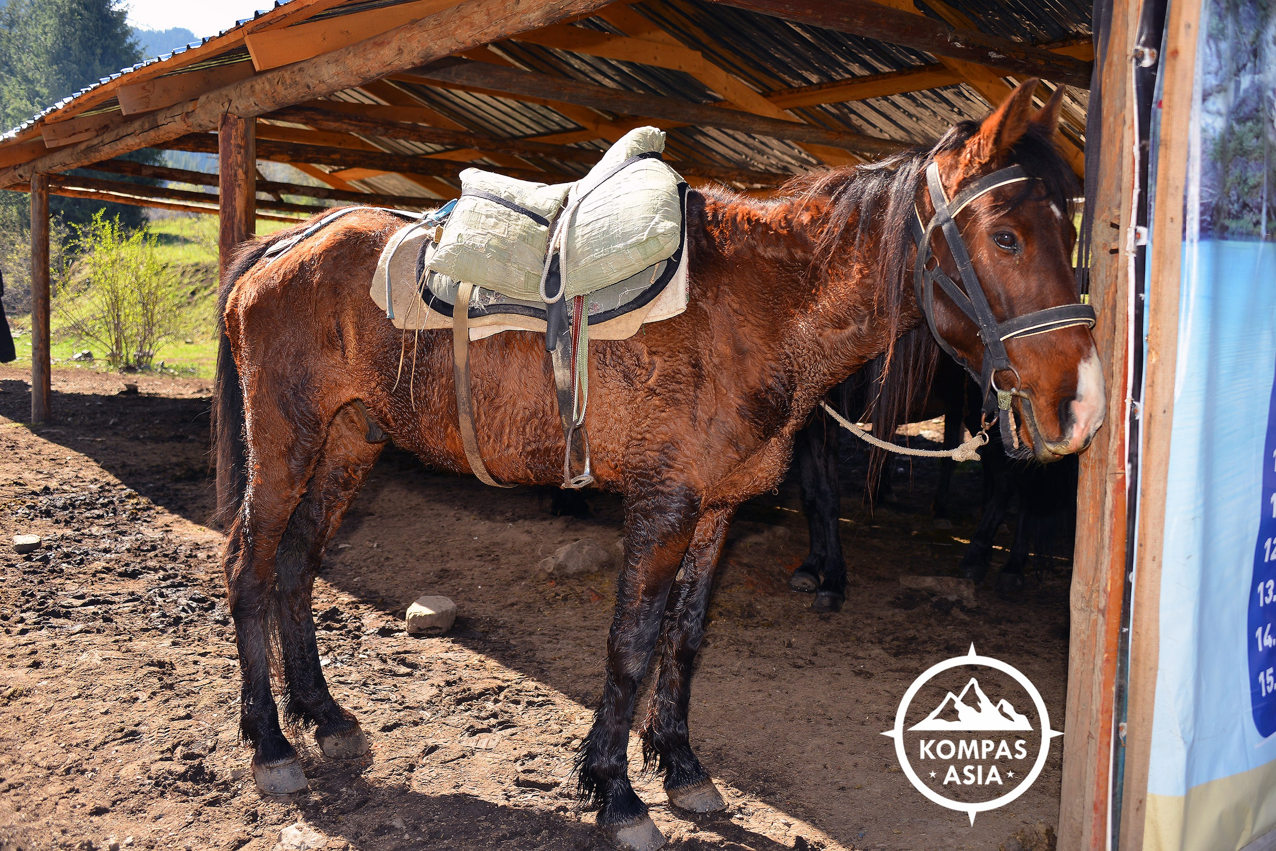 Туризм. Фотосъёмка. Фотограф Сергей Авдеев-семейный и детский фотограф в Алматы