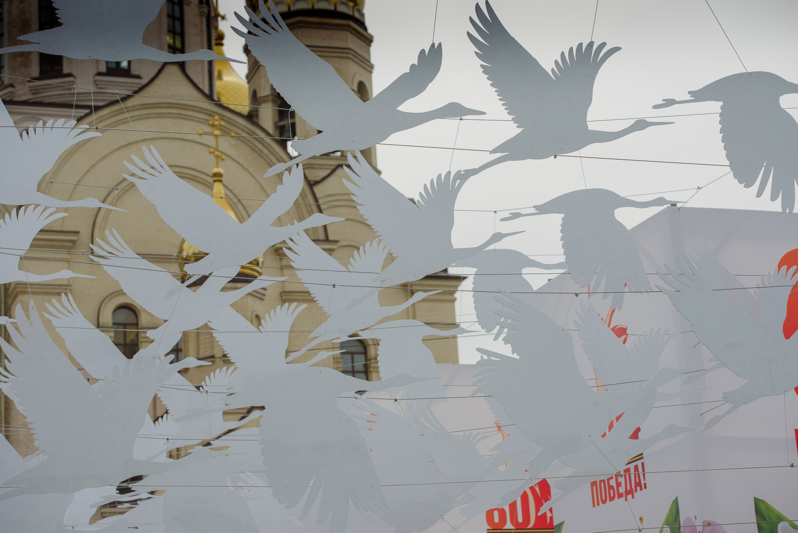 9 мая Центральная плащадь. Фотограф Мария Каюрова