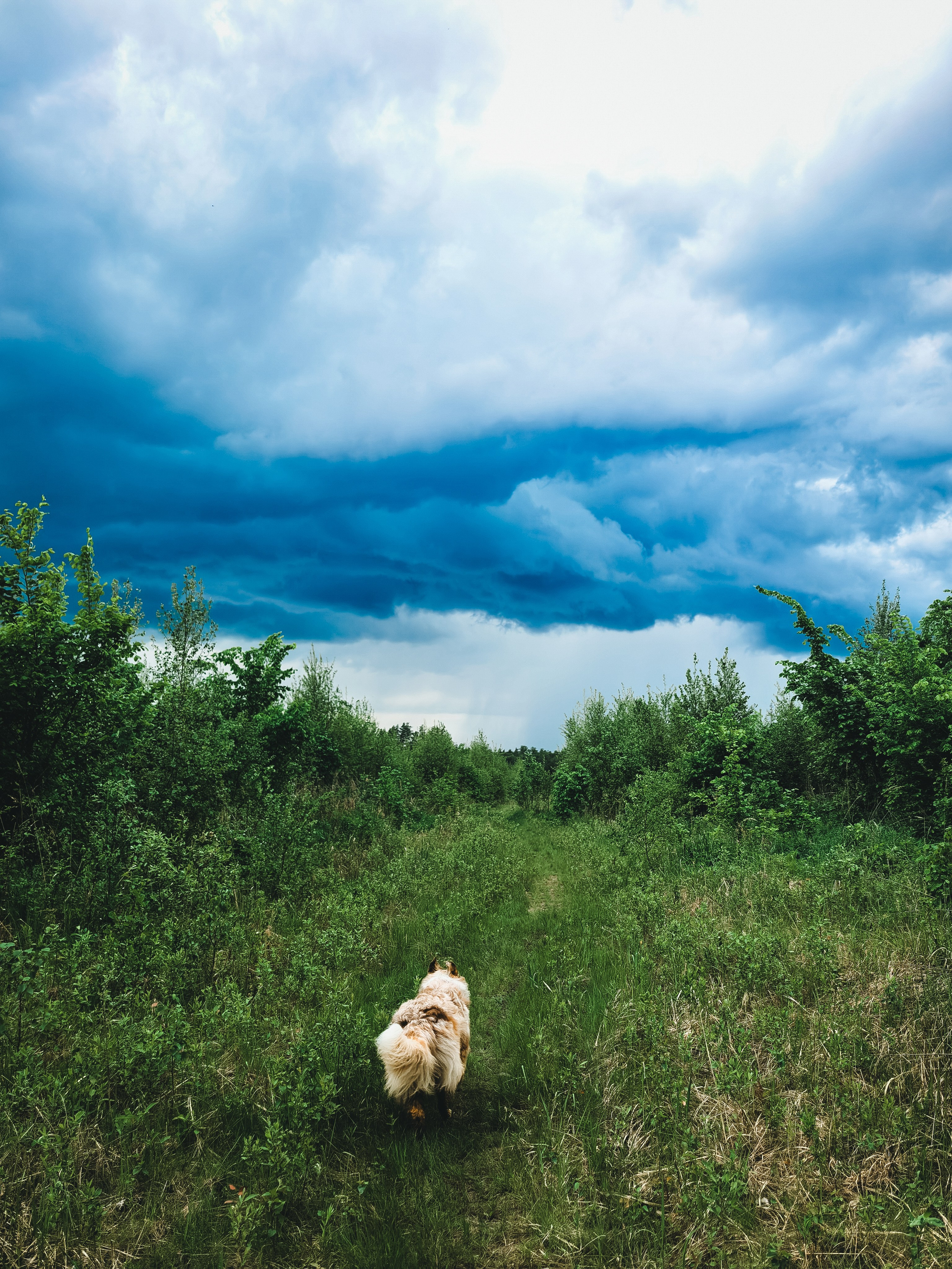 Ваши фотографии. Фотограф анималист Осипчикова Мария
