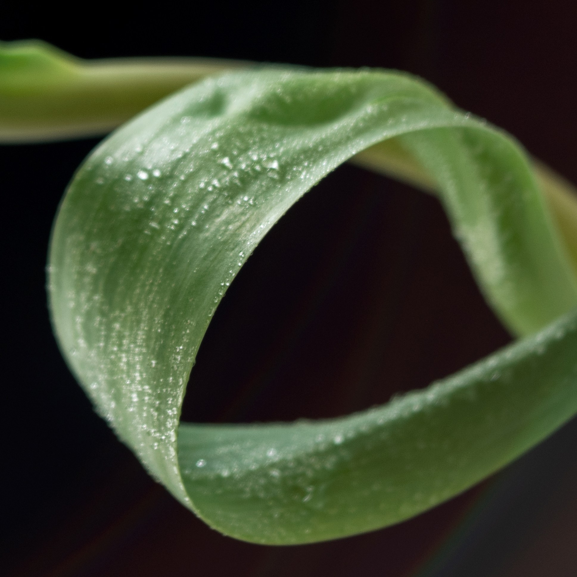 Infinity. Author’s fine art prints with international delivery