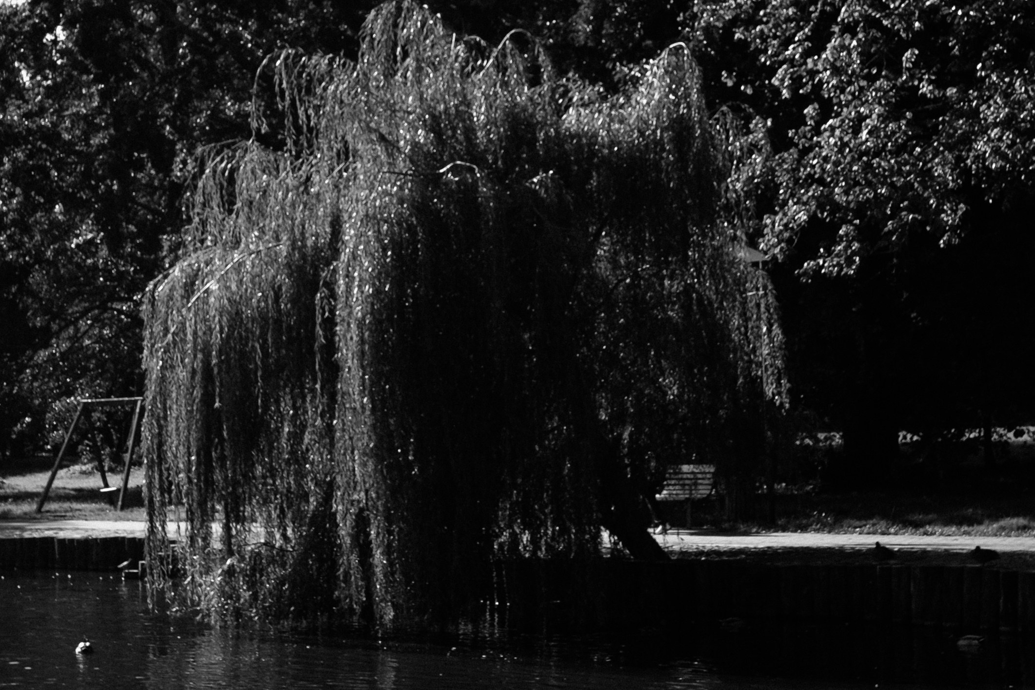 Калининград. Портретный фотограф DanilNabody