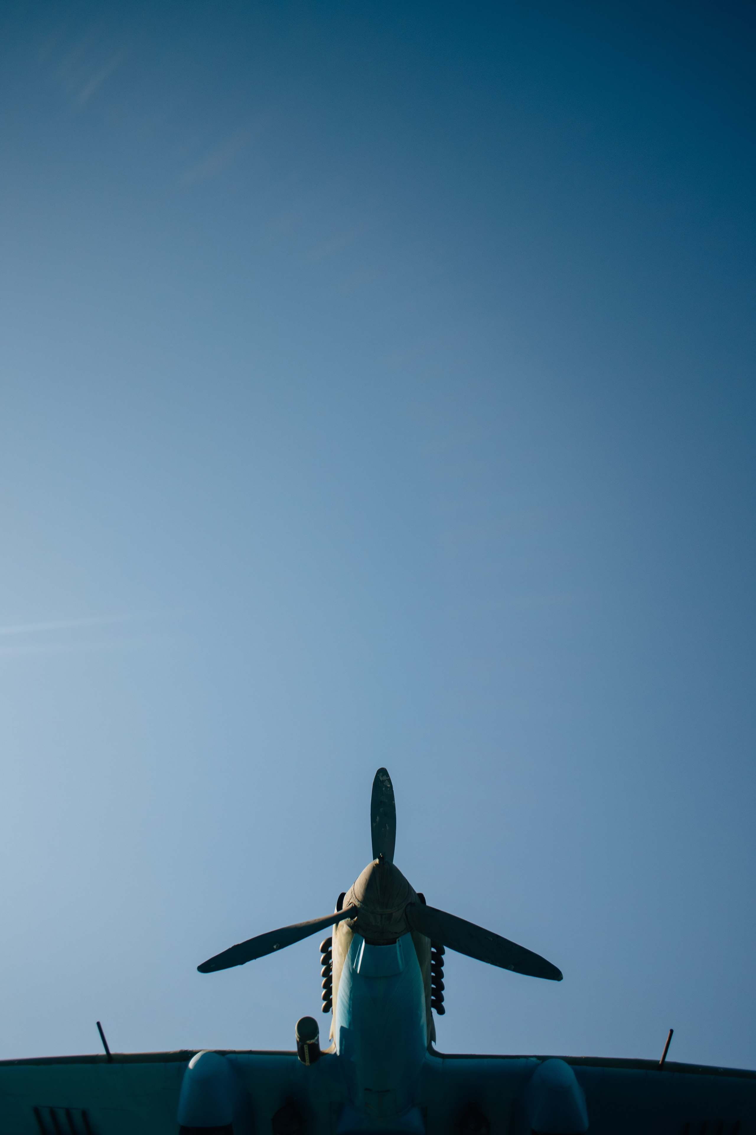 Untitled. Свадебный и Event фотограф в Москве | Андрей Губренко | Gubrenko