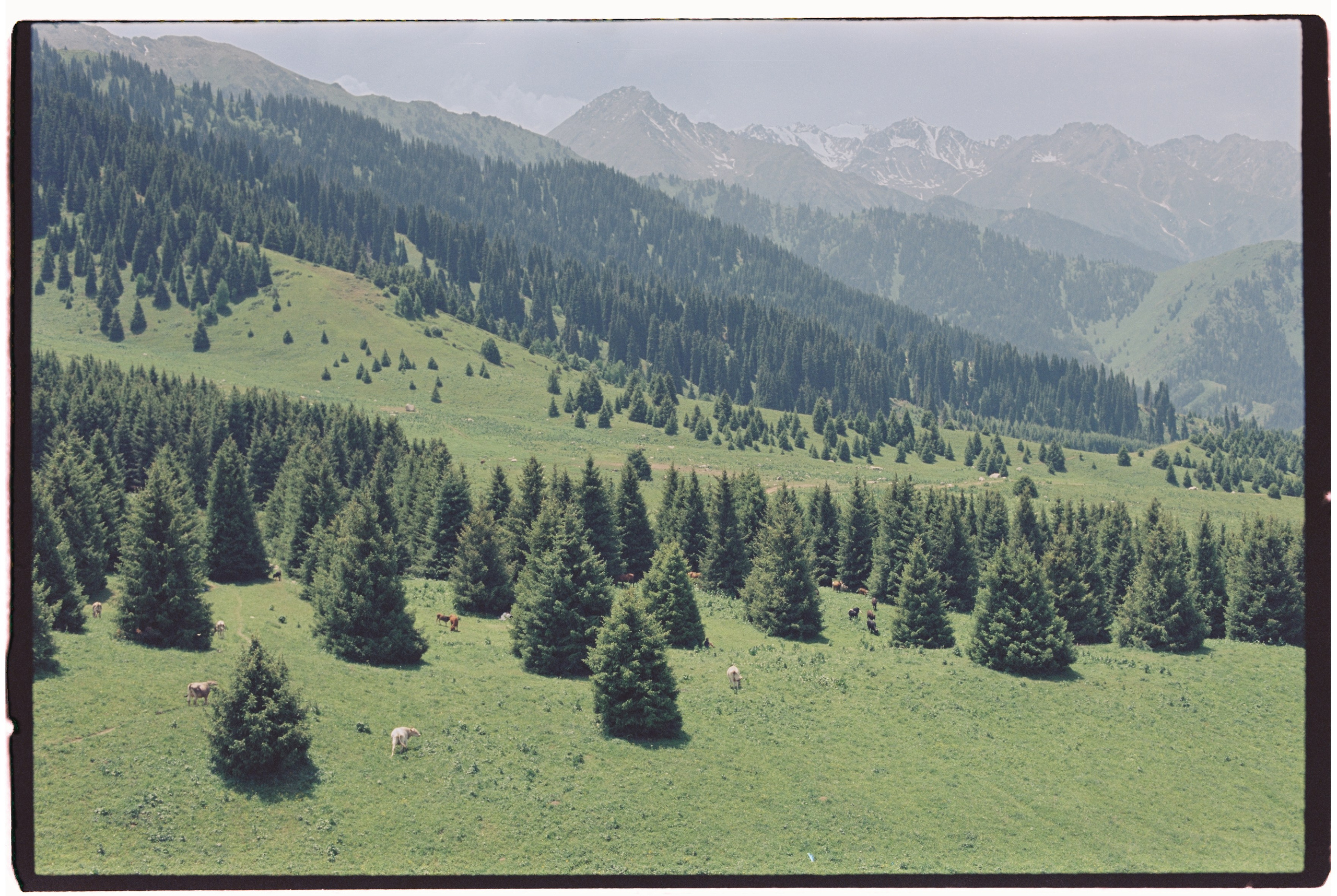 Almaty. Philipp Yelistratov