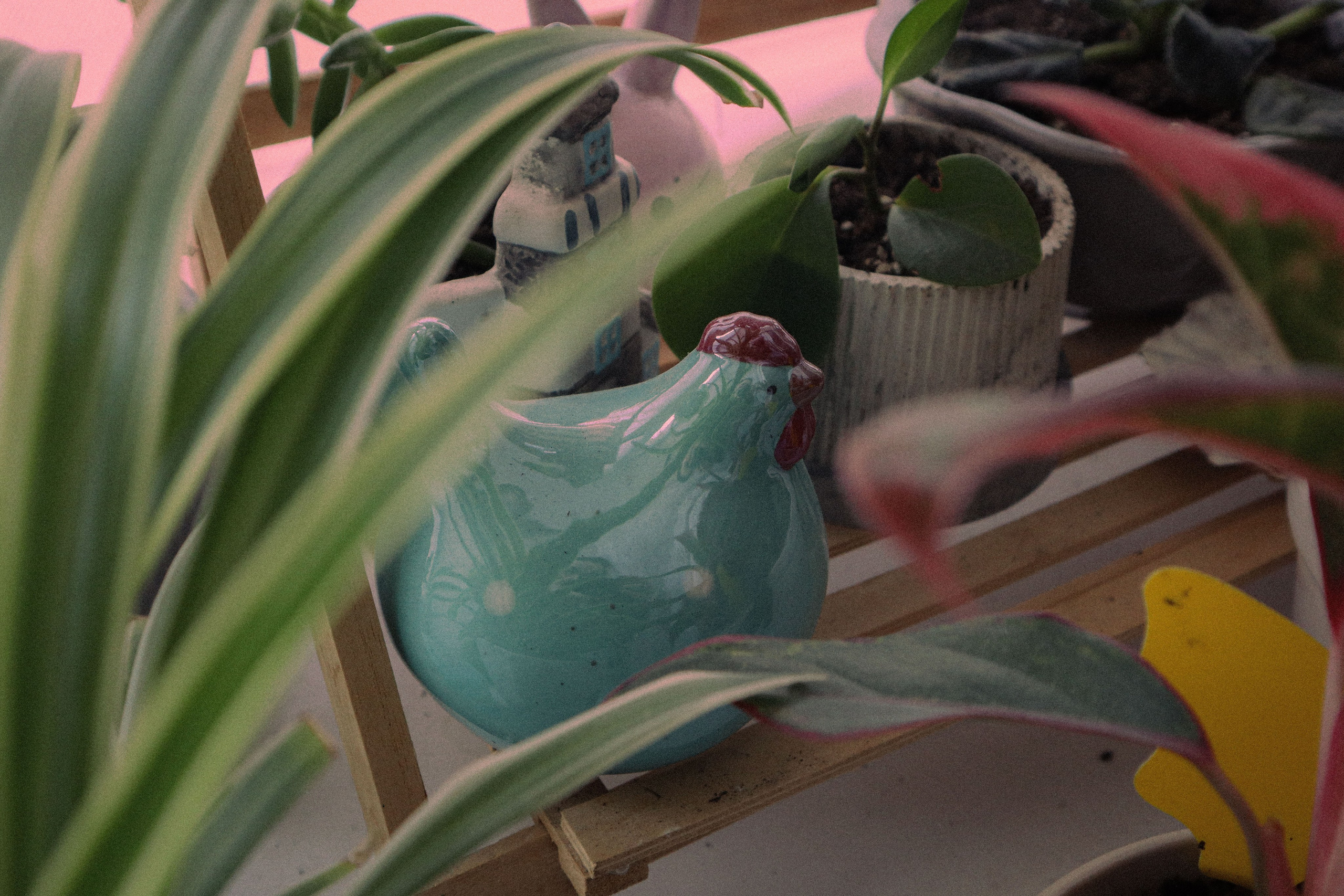 Лайфстайл. Уральское создание