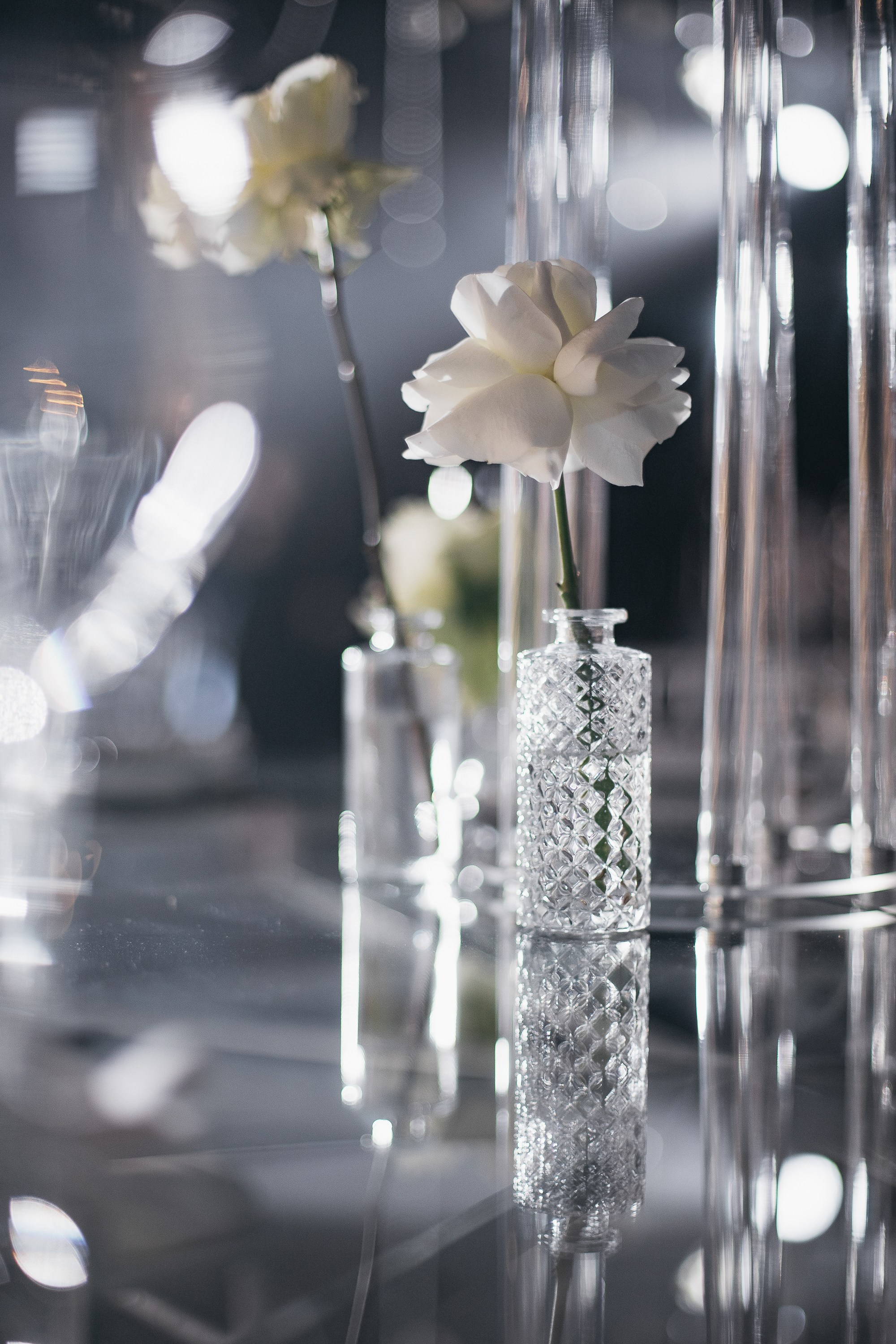 Антон & Софья. Свадебный и репортажный фотограф Юров Дмитрий