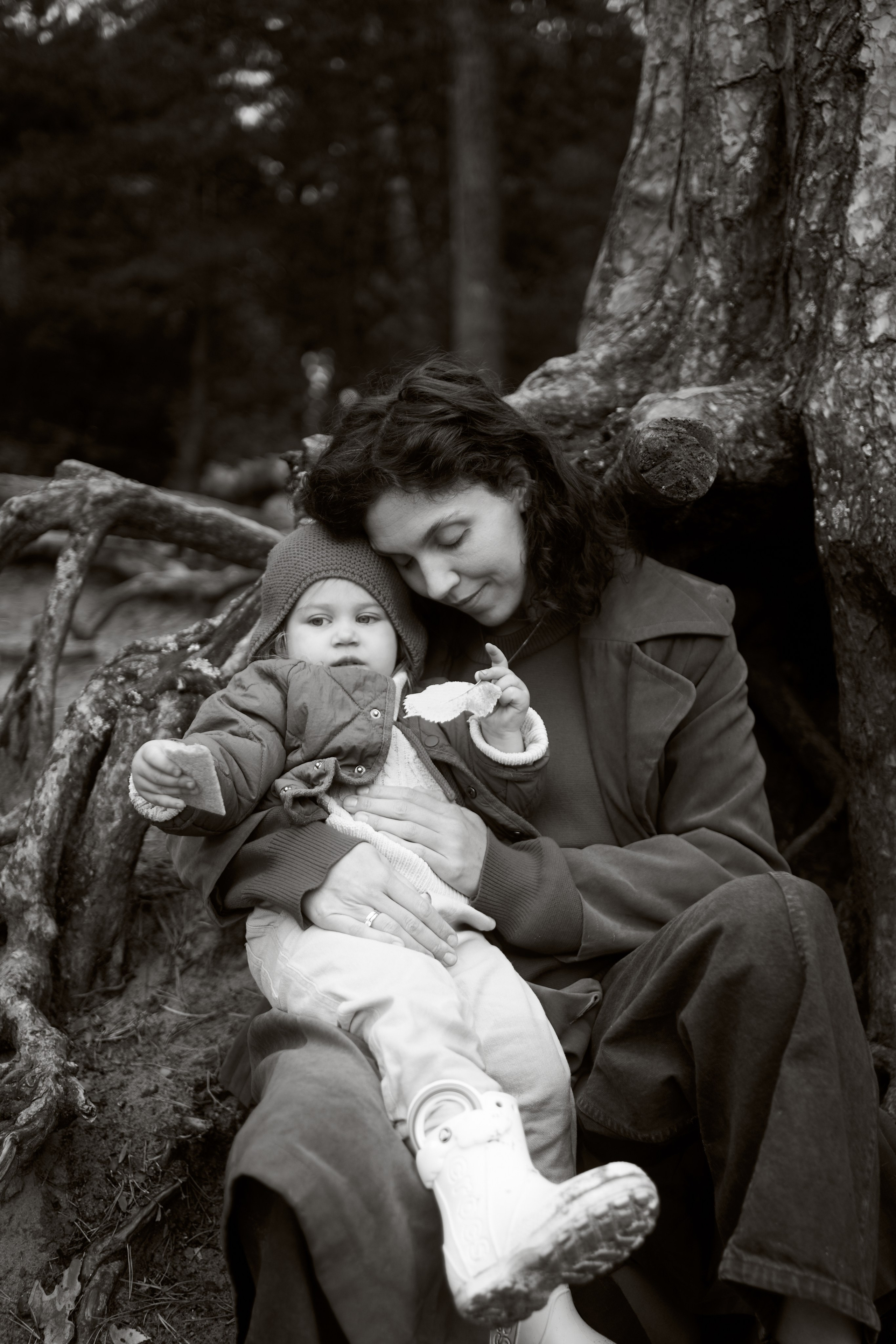 Печенье в песке. Фотограф анималист Москва Дарья