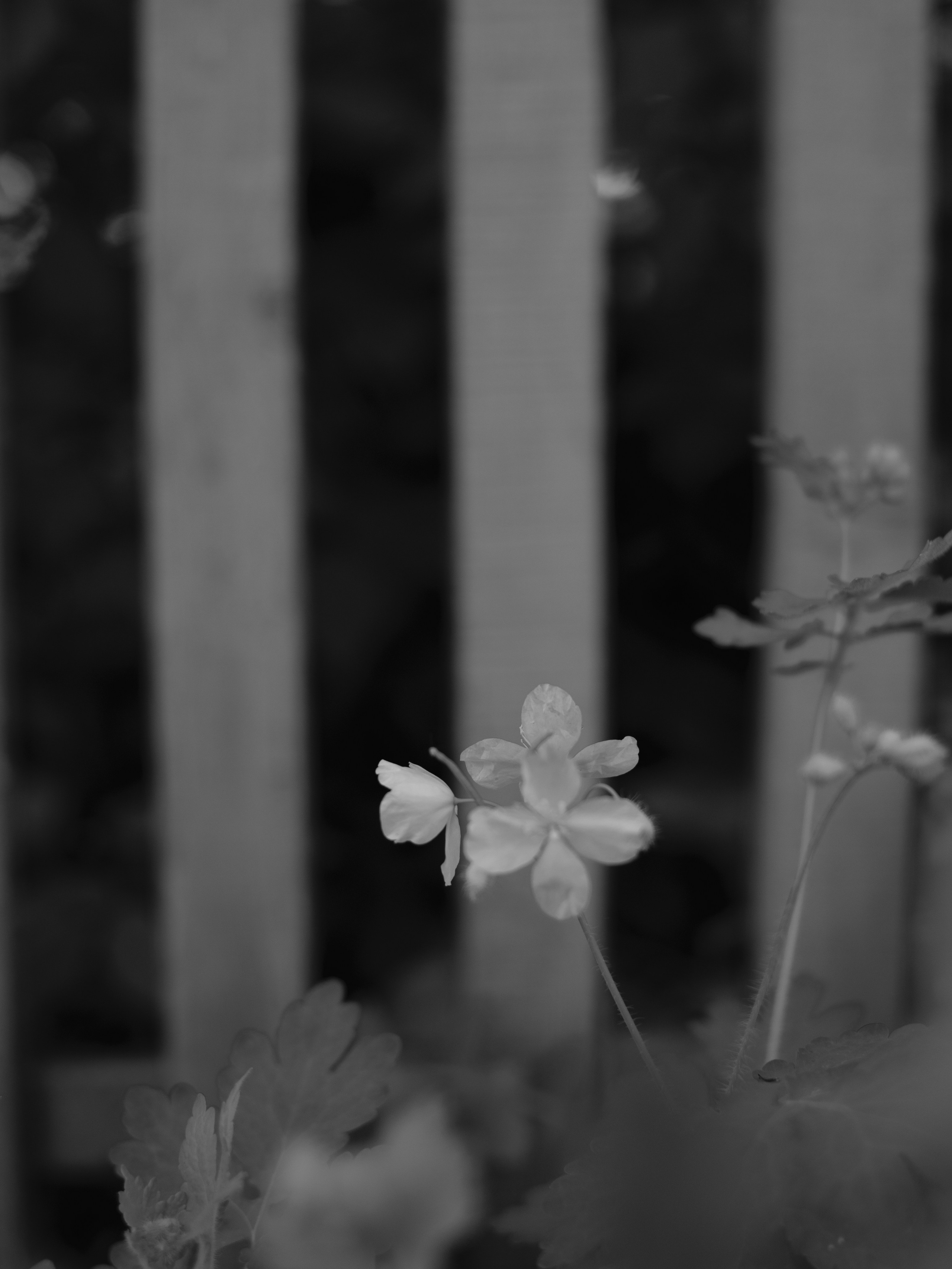 Фотогпрогулка