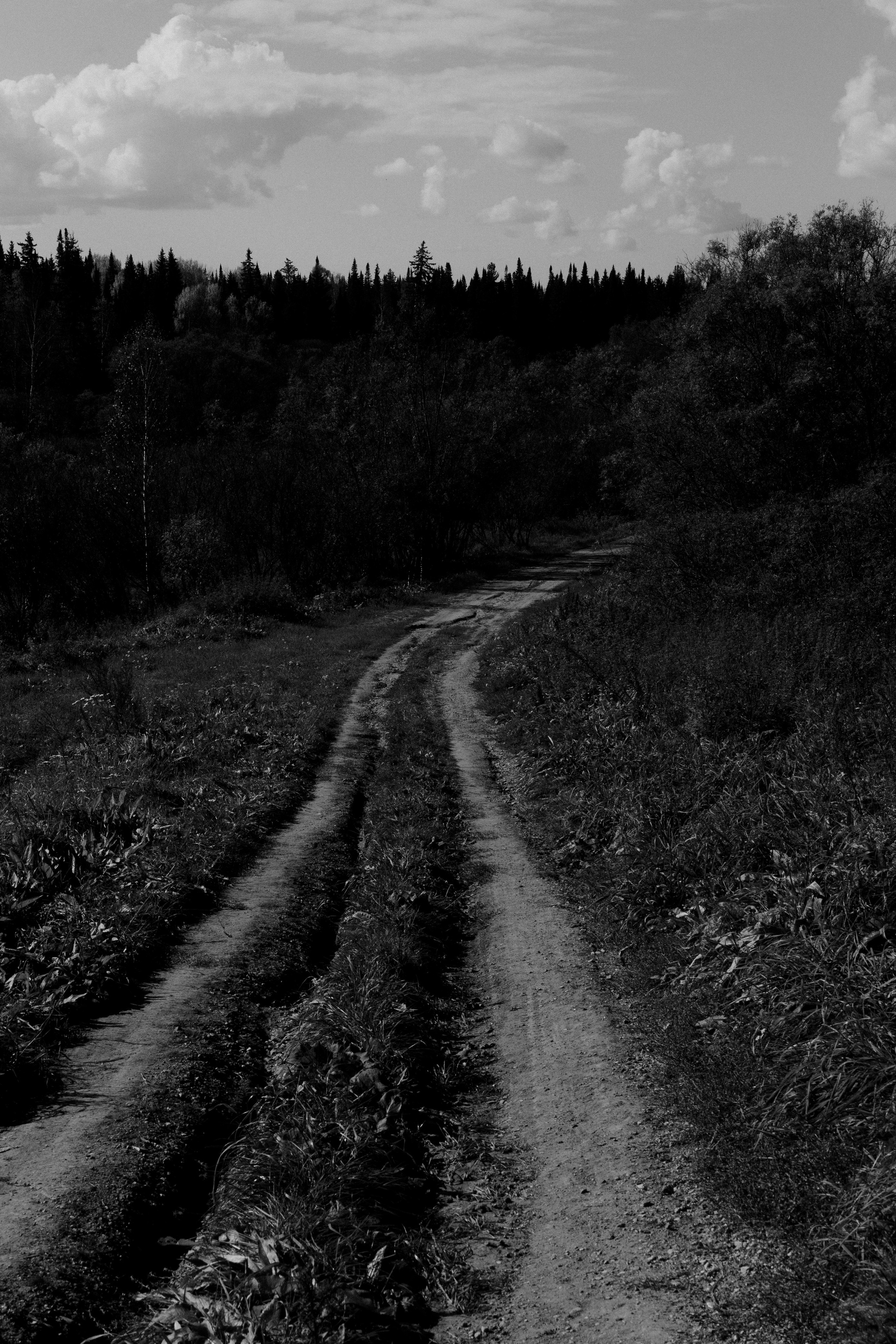 Ишим (Кемеровская область). Veronika Popadeikina Photographer