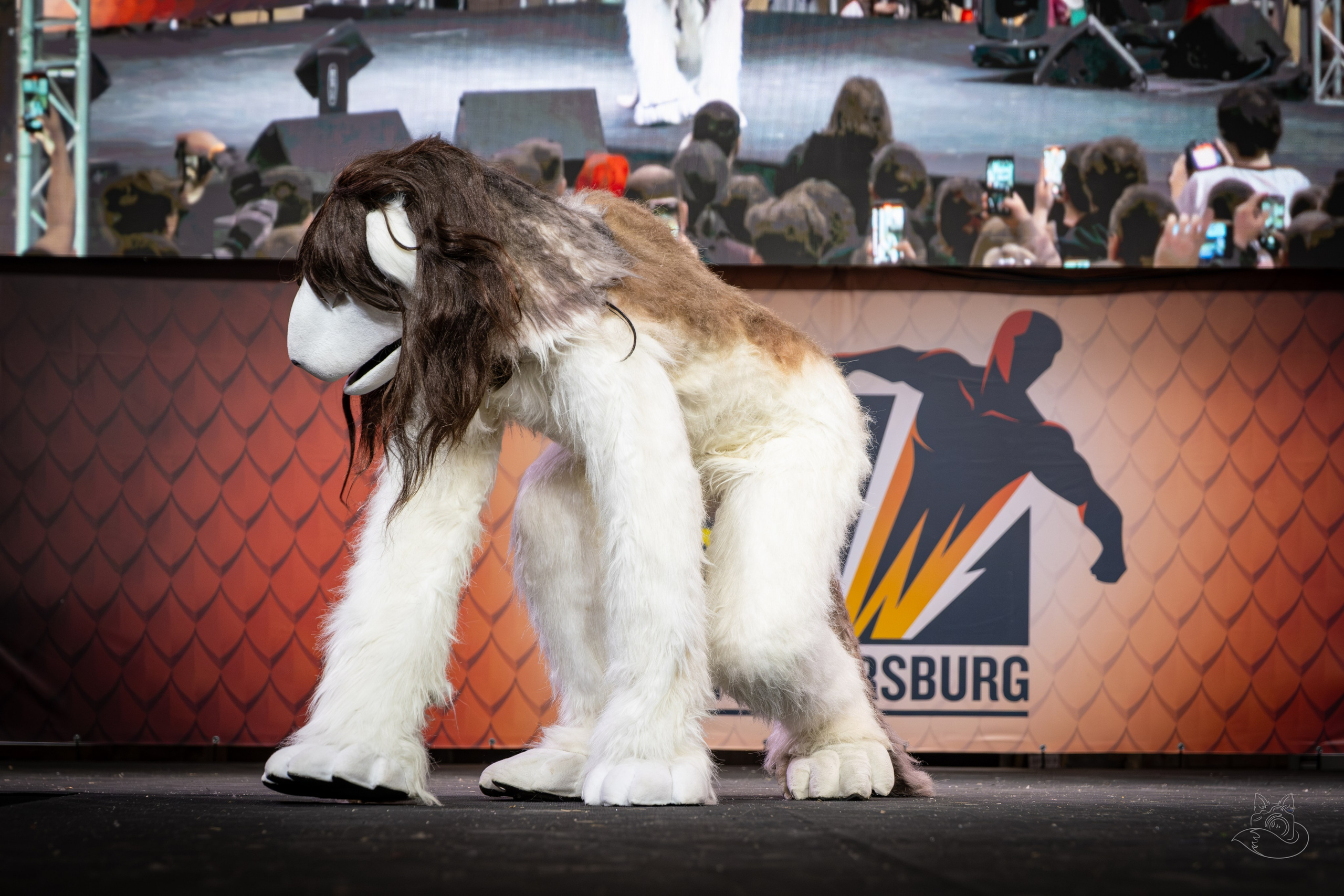 Конкурс Epic Con 2025. Косплей фотограф